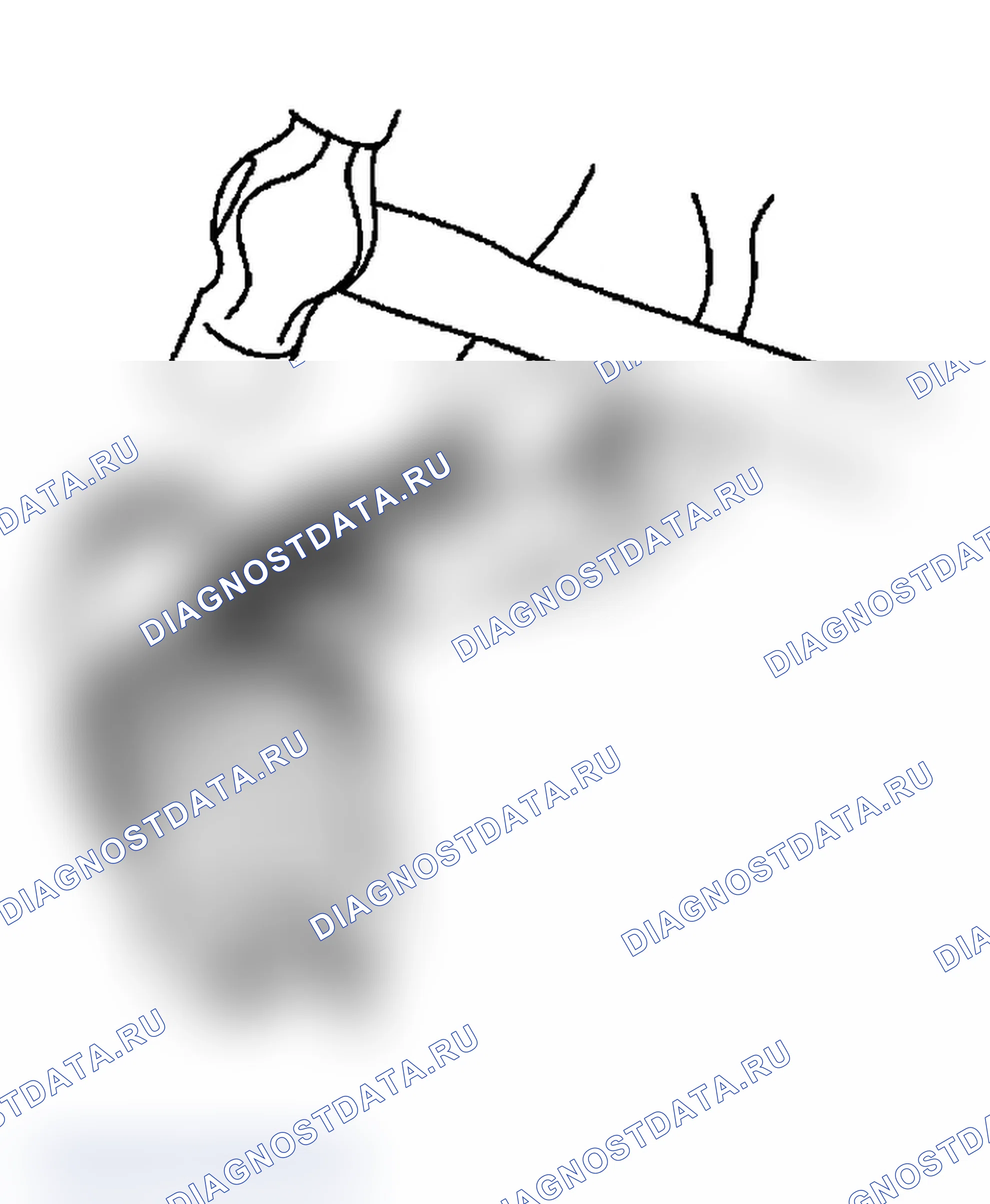 Рис. 163. Subaru Impreza WRX GD/GG рестайлинг 2