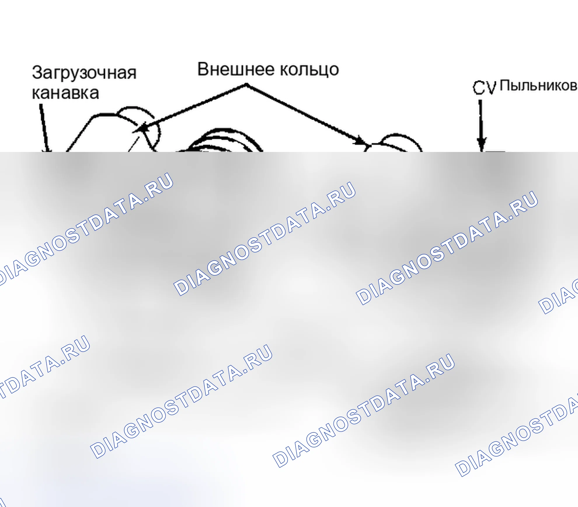 Рис. 10: Разборка (Continental, Escort, Sable, Taurus и Tracer - Plunge ШРУС). Ford Escort V рестайлинг