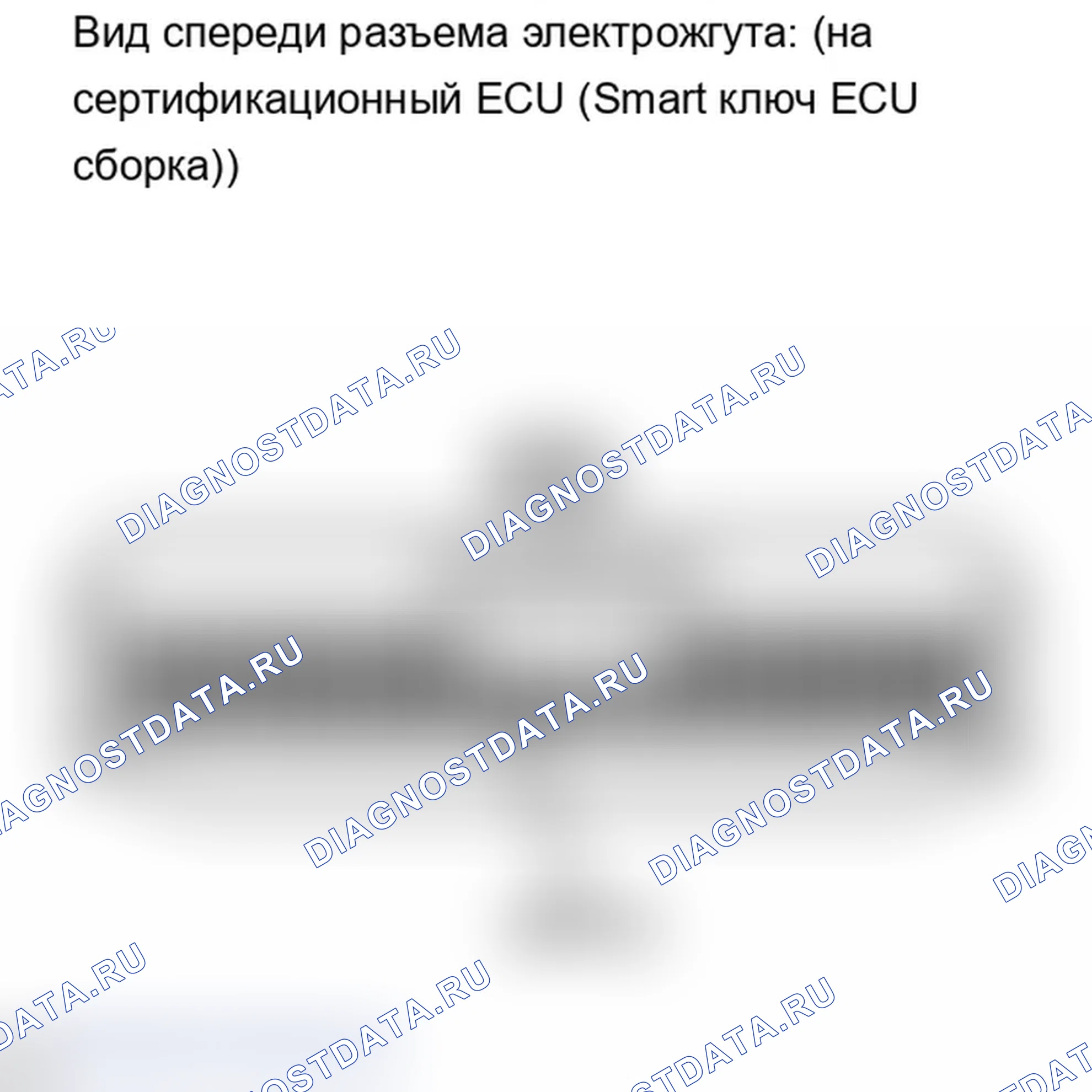 Рис. 142. Lexus IS F I