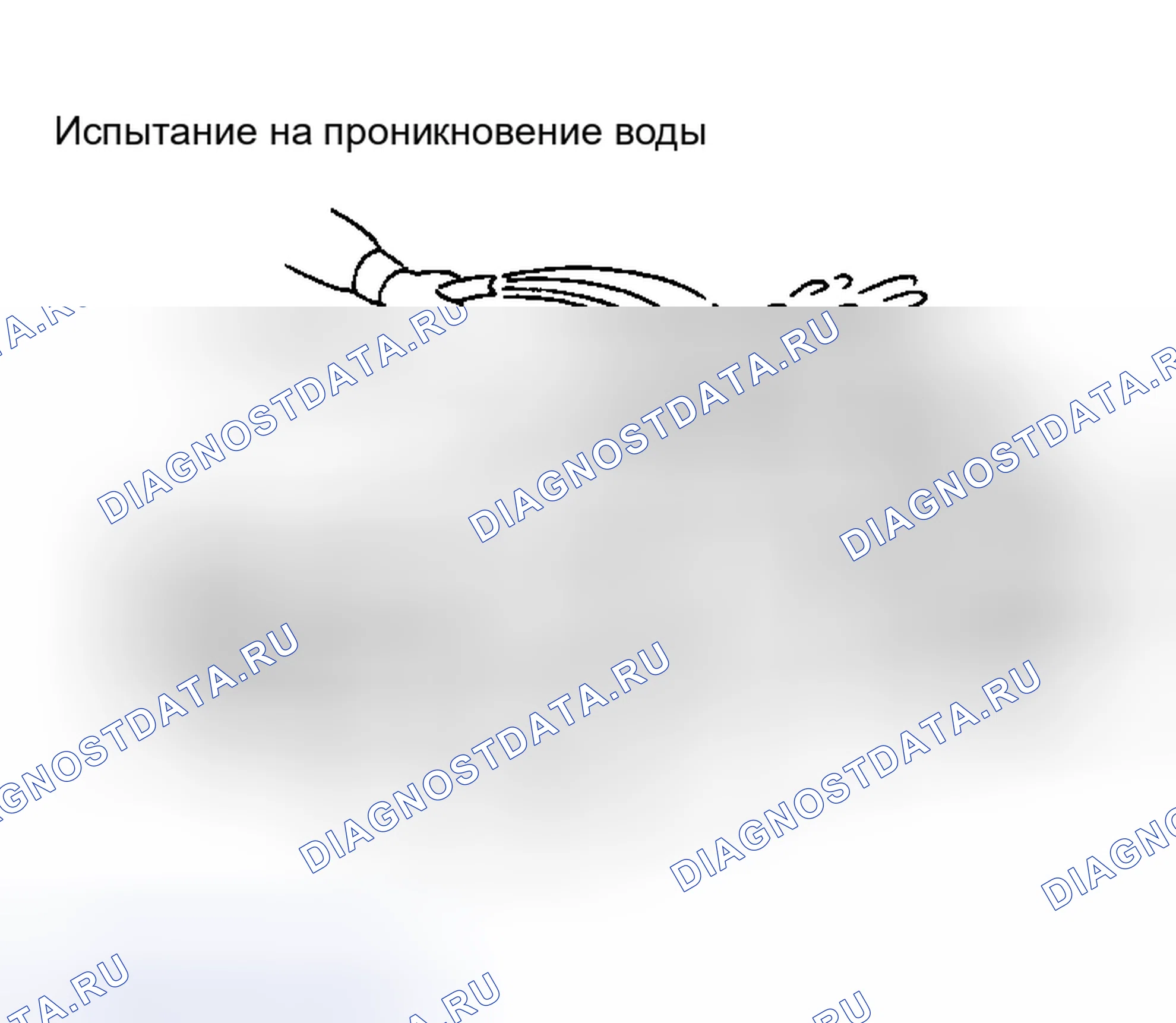 Рис. 48: Проникновение воды. Honda Logo I