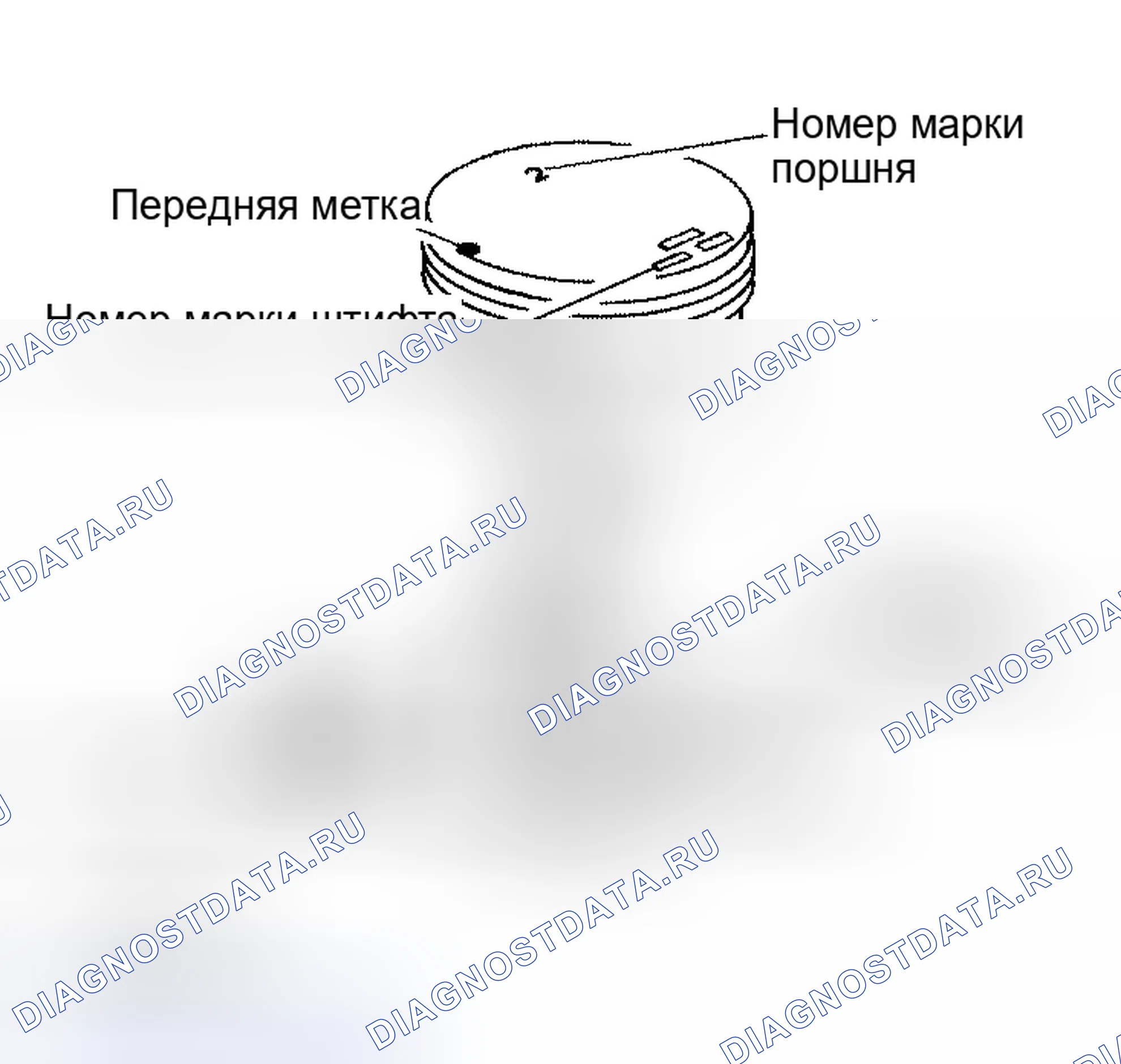 Рис. 298. Nissan Altima L31 рестайлинг