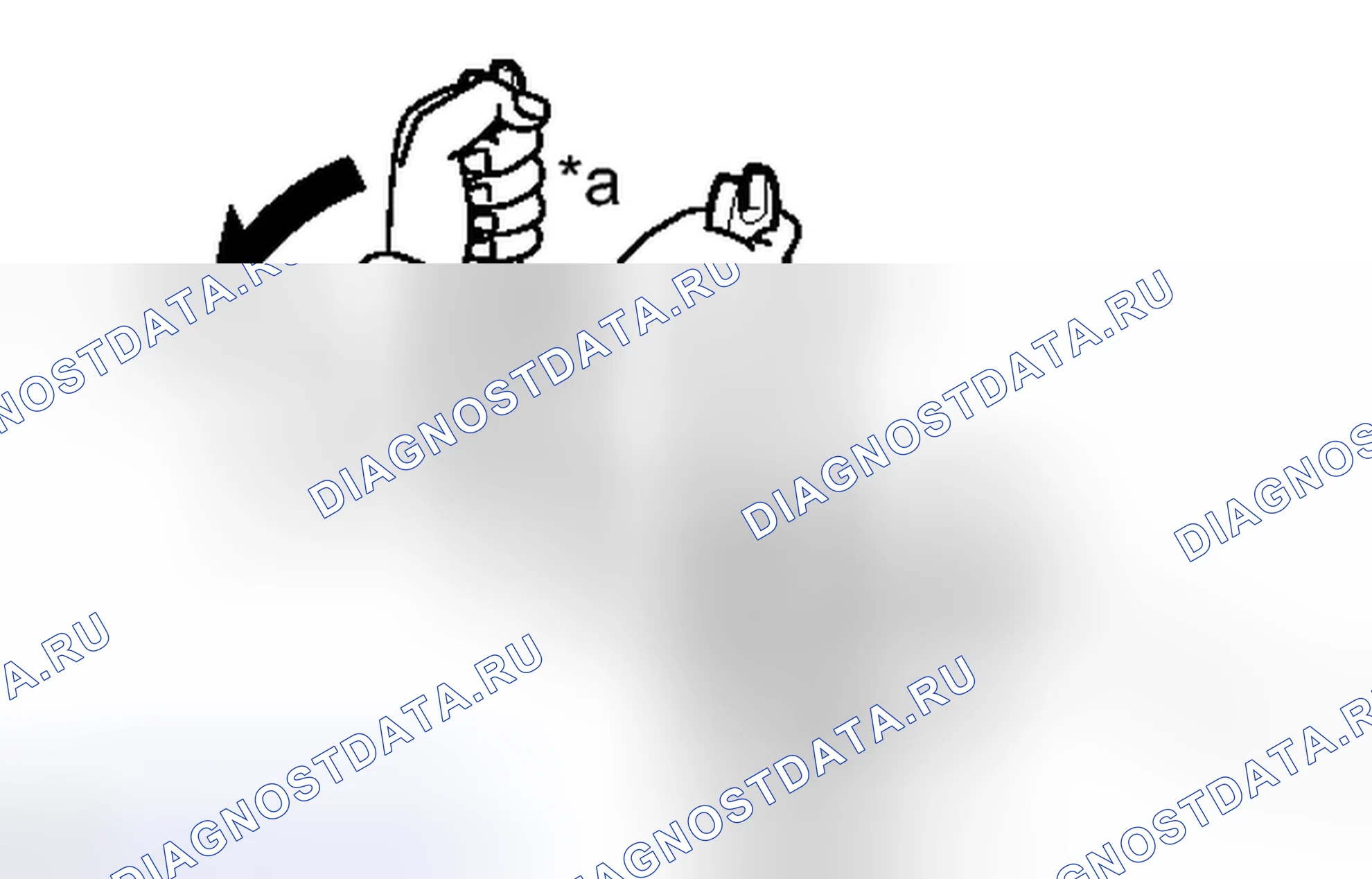 Рис. 41. Honda Accord VII рестайлинг