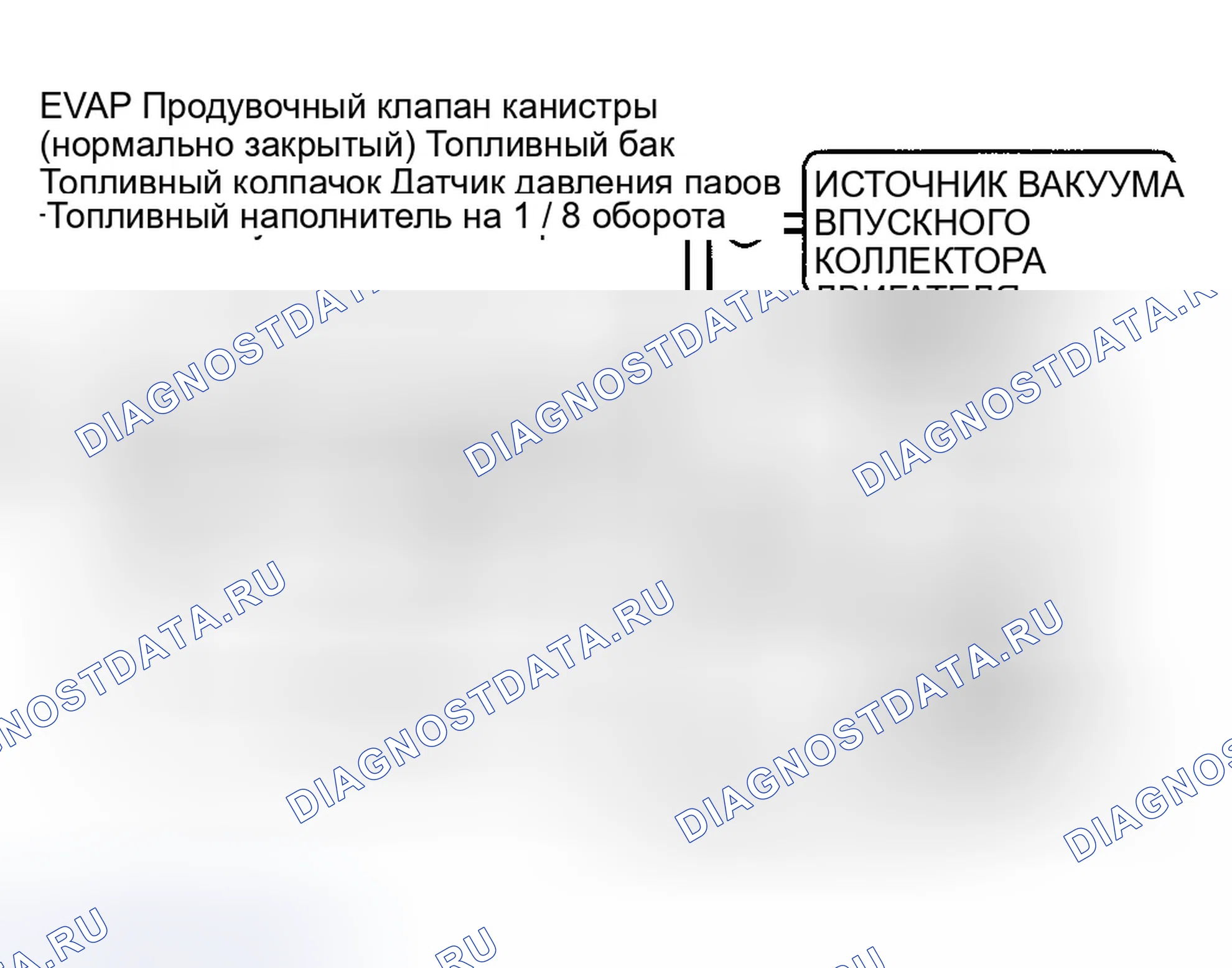 Рис. 40: Идентификация компонентов системы EVAP. Ford Contour I рестайлинг