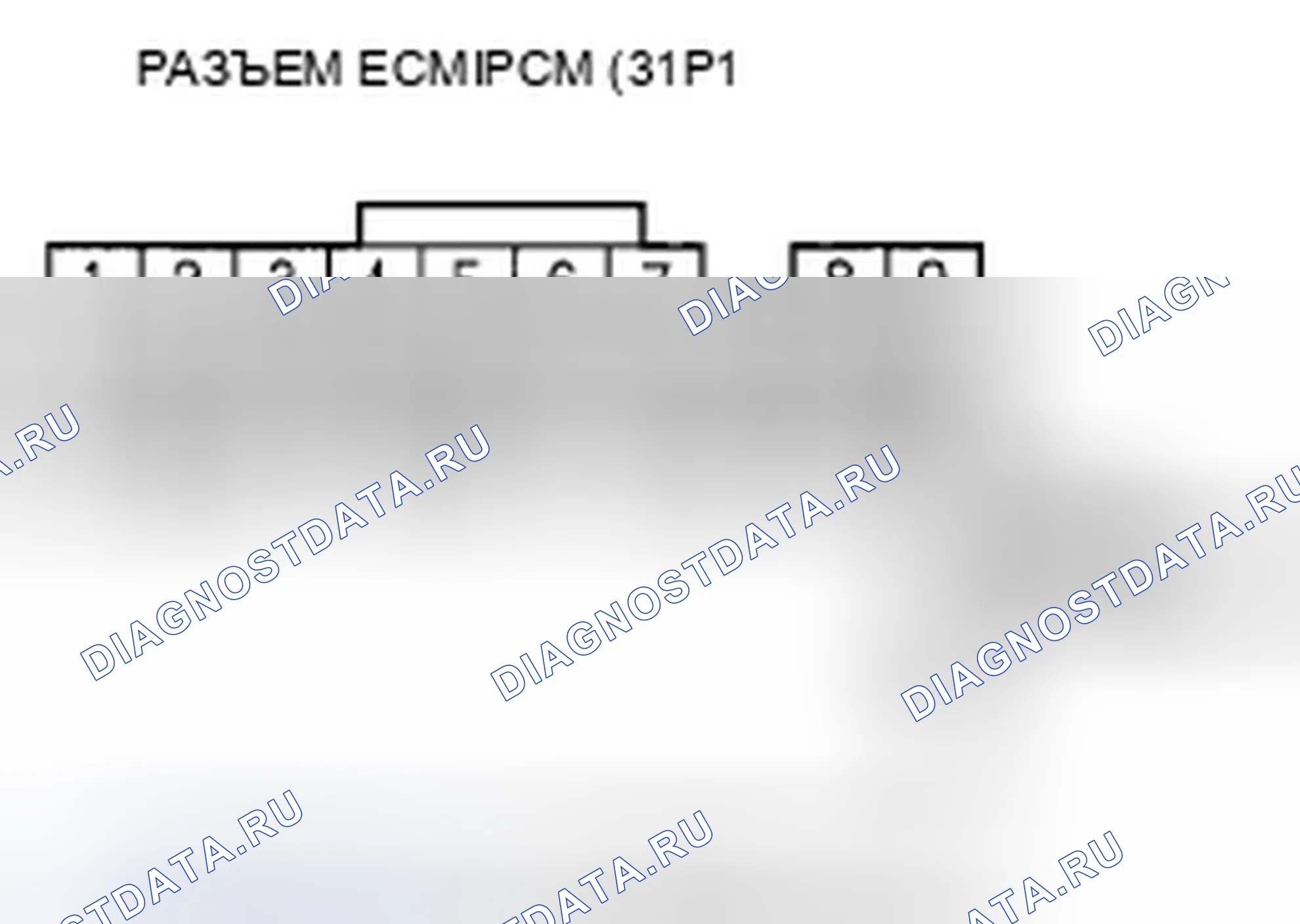 Рис. 461. Honda Element YH2 рестайлинг