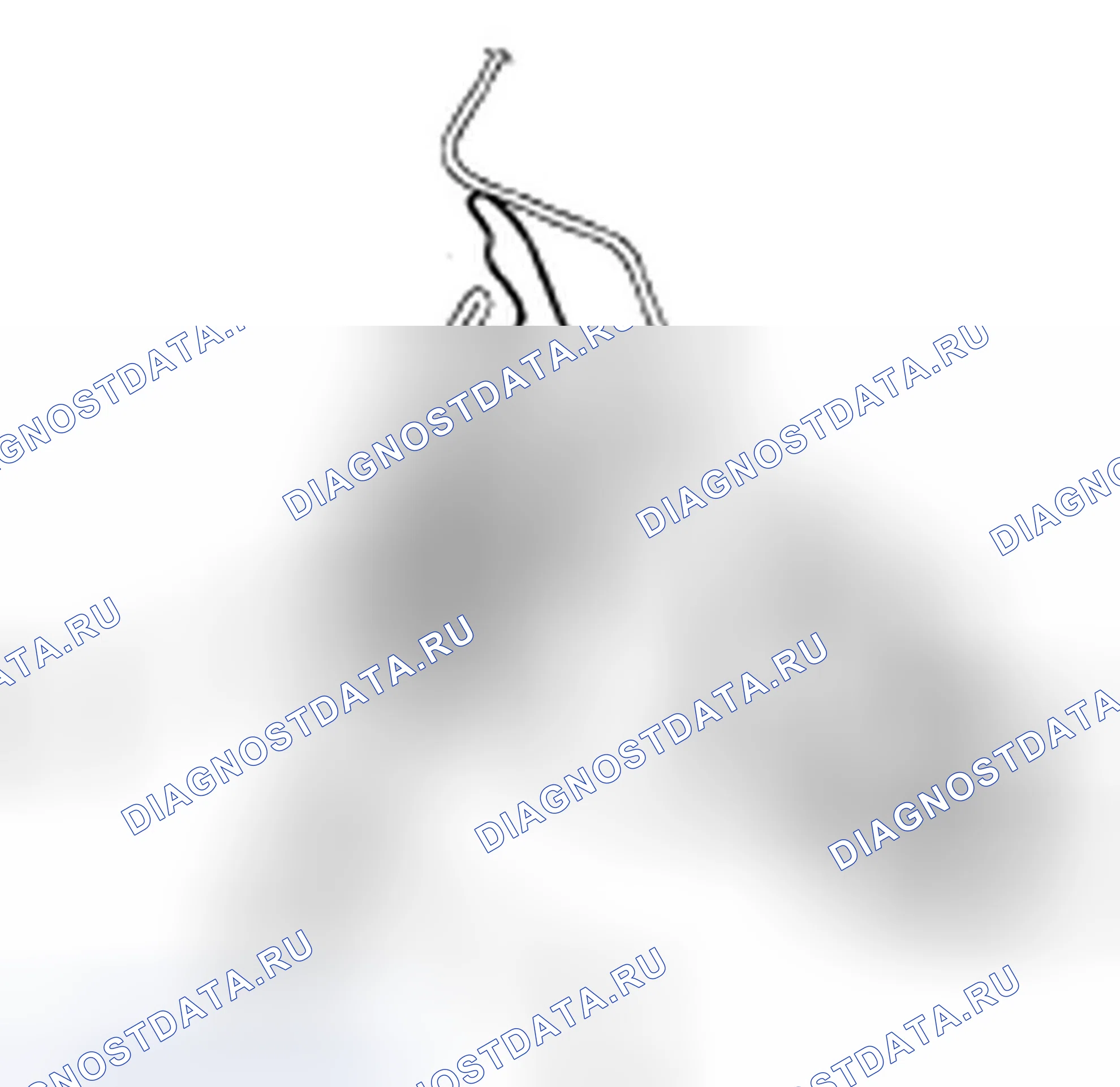 Рис. 34. Honda Fit I