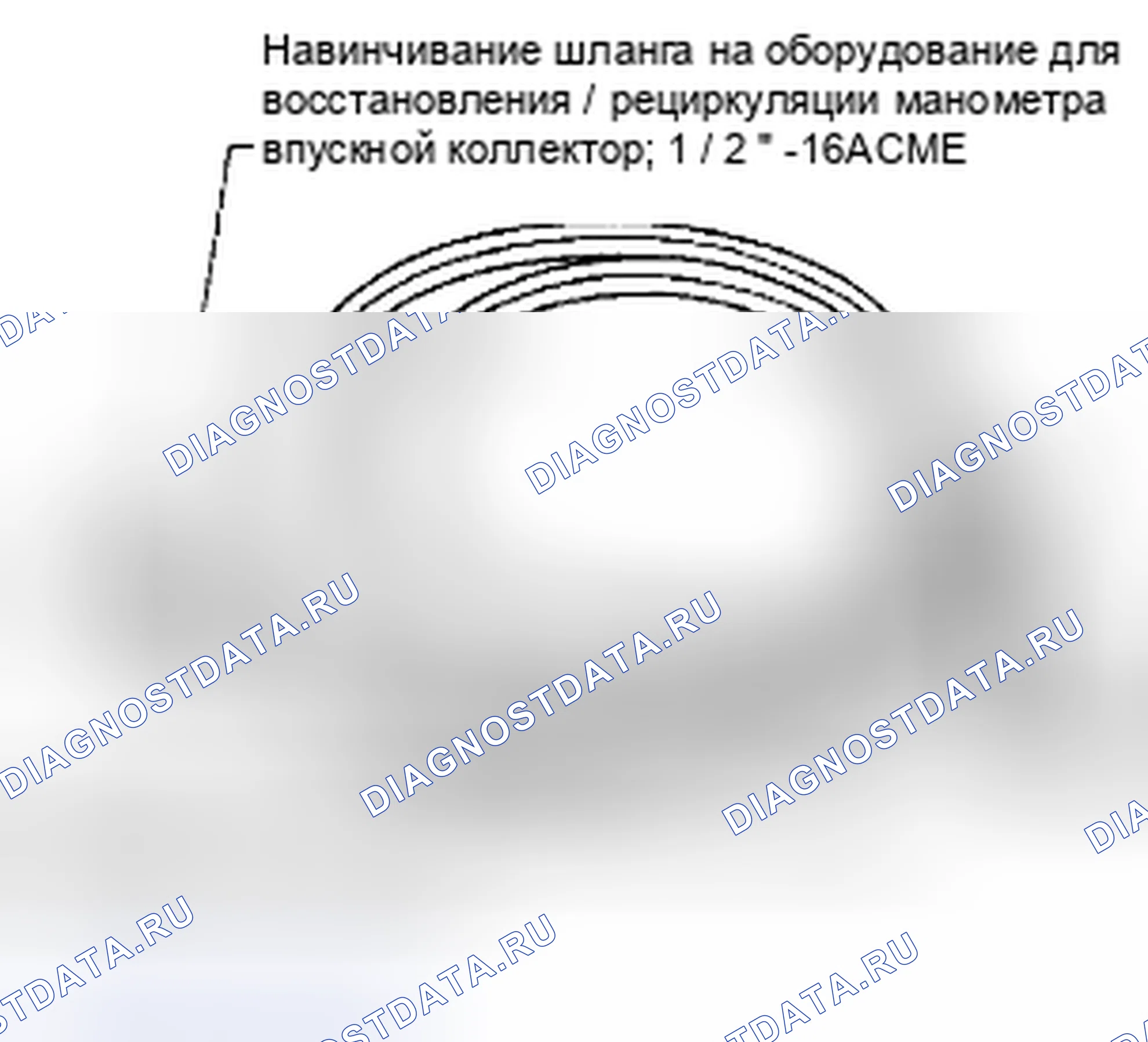 Рис. 146: СЕРВИСНЫЕ ШЛАНГИ. Suzuki Equator I