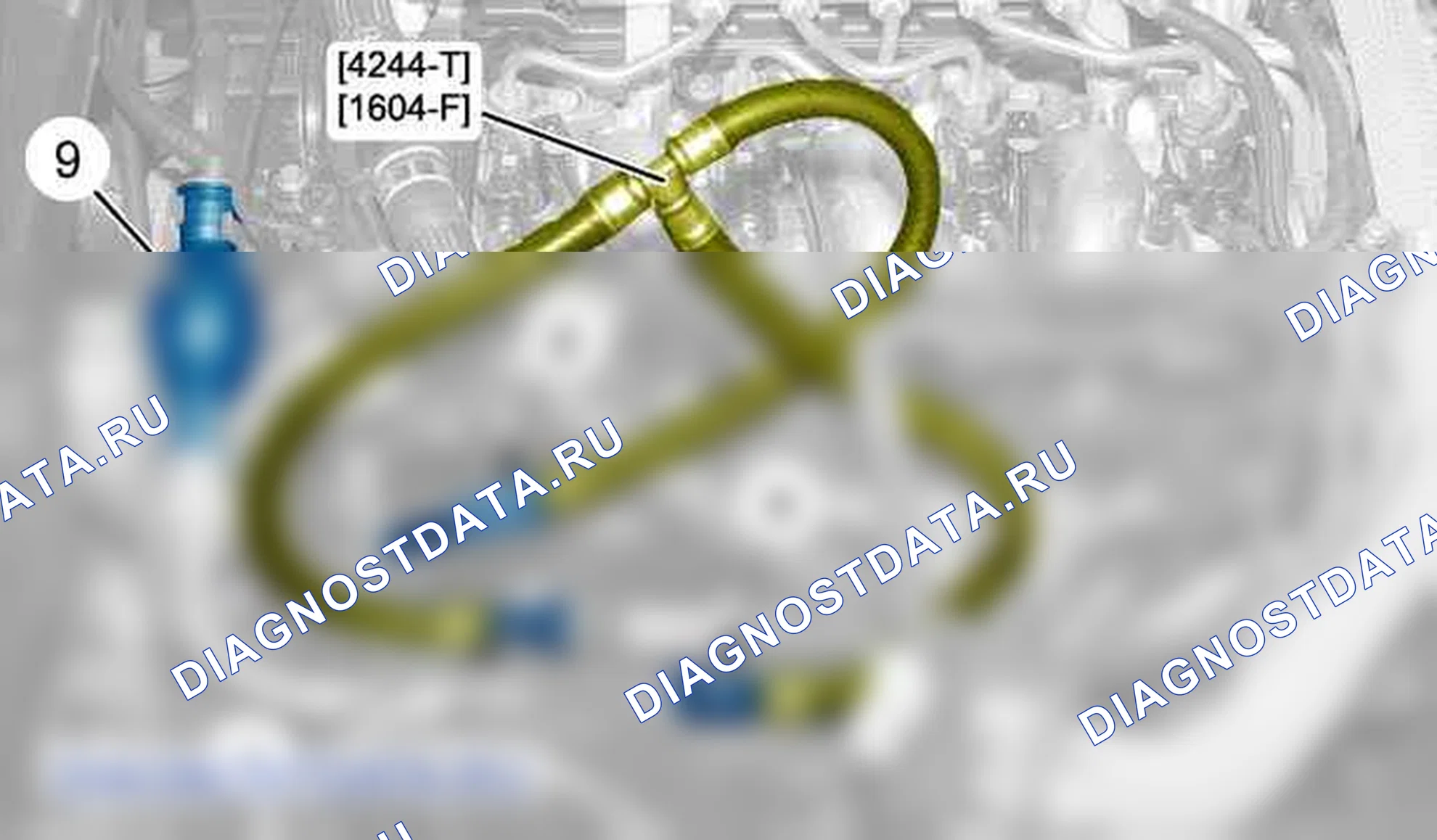Снятие - Установка: Топливный фильтр — b1bg1n7d. Citroen C5 II
