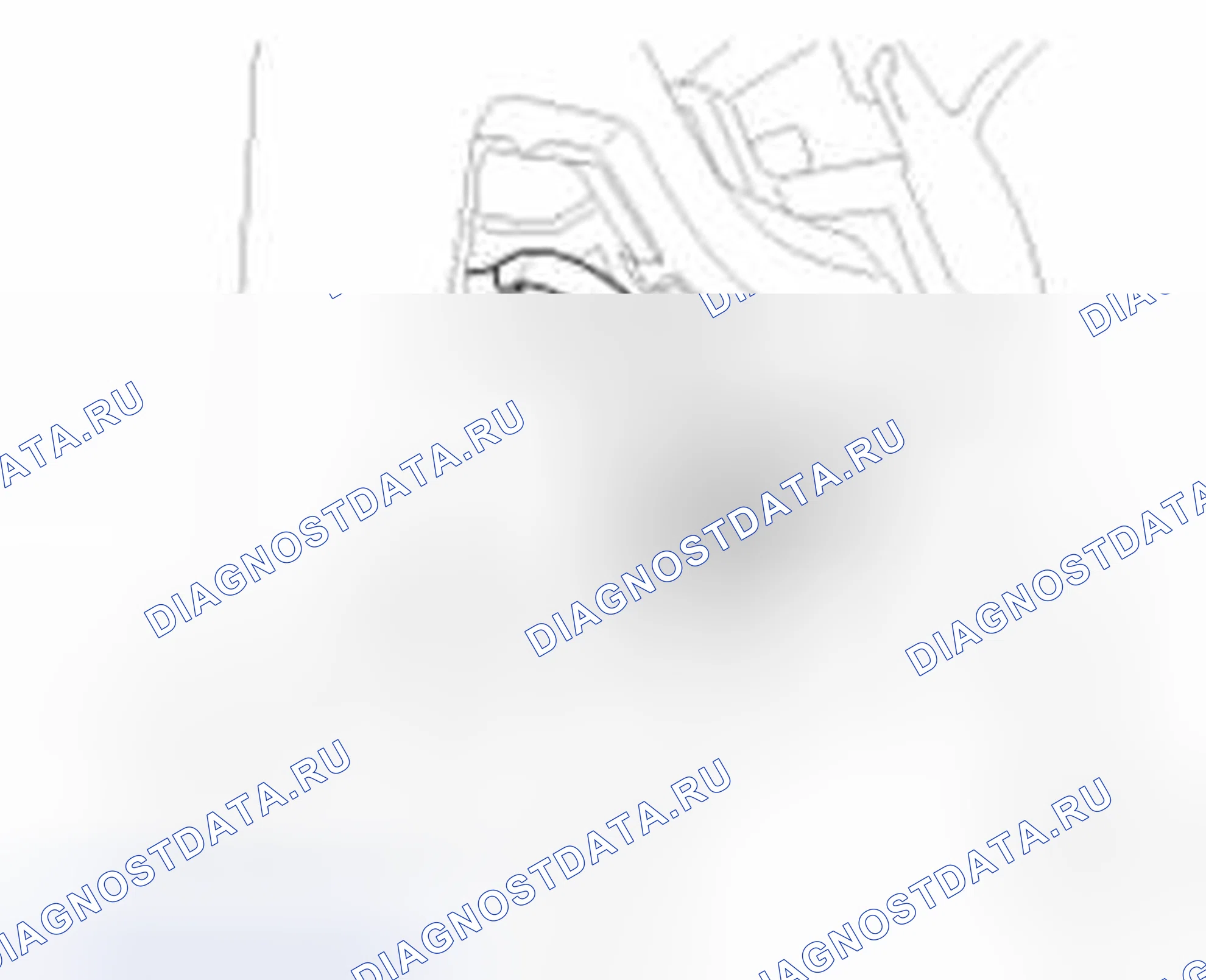 Рис. 42. Haval Beast (Shenshou) I