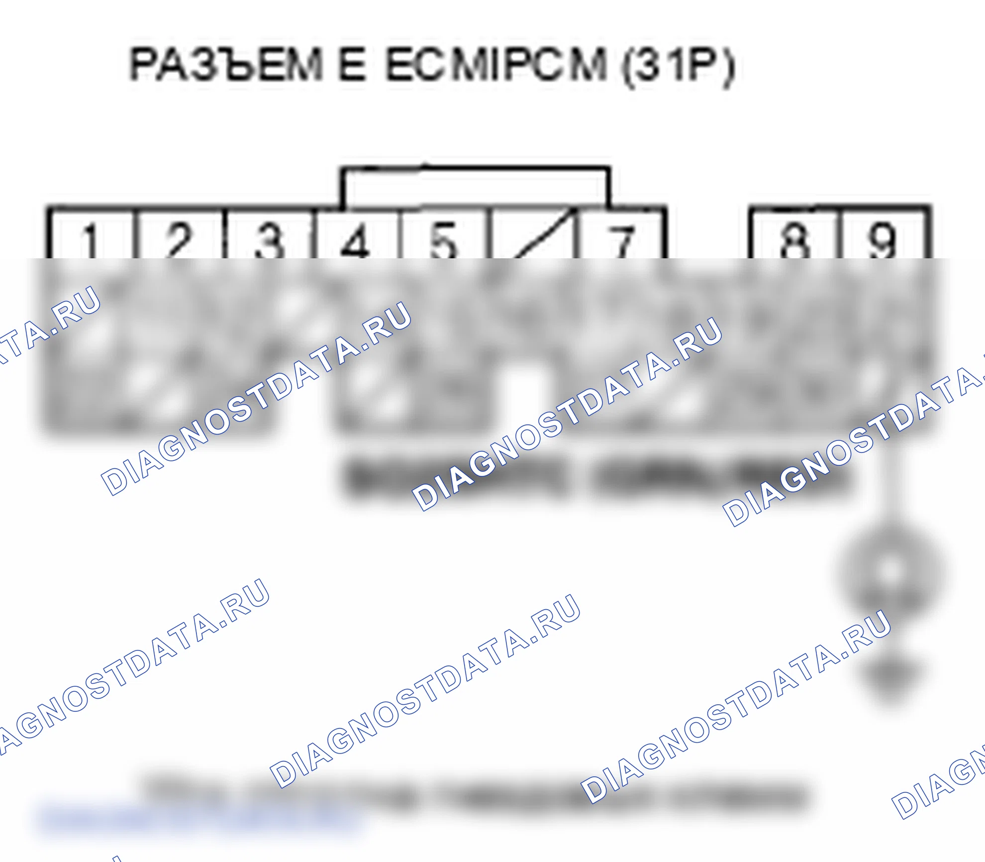 Рис. 401. Honda Element YH2 рестайлинг