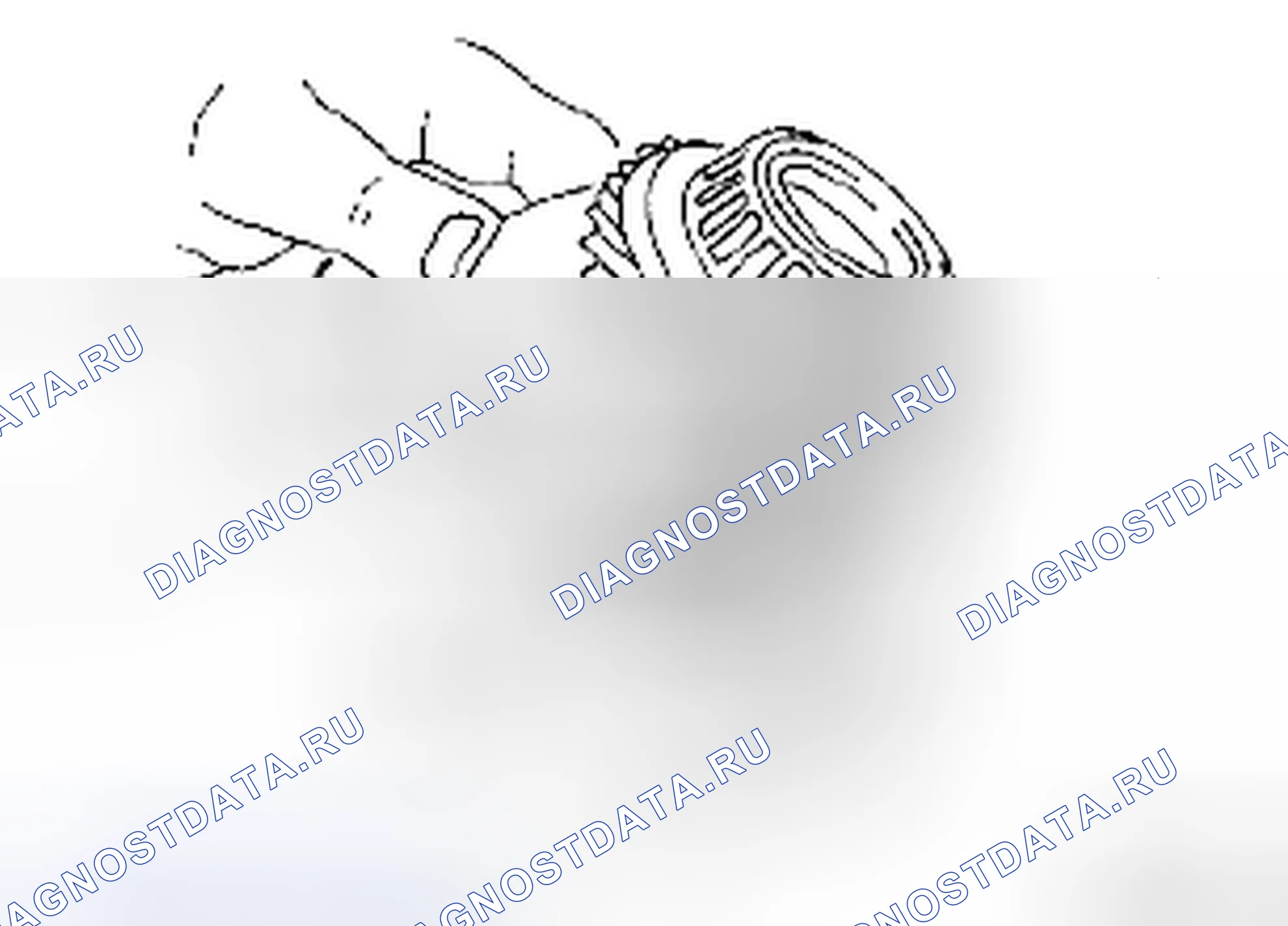 Рис. 122. Suzuki Forenza I