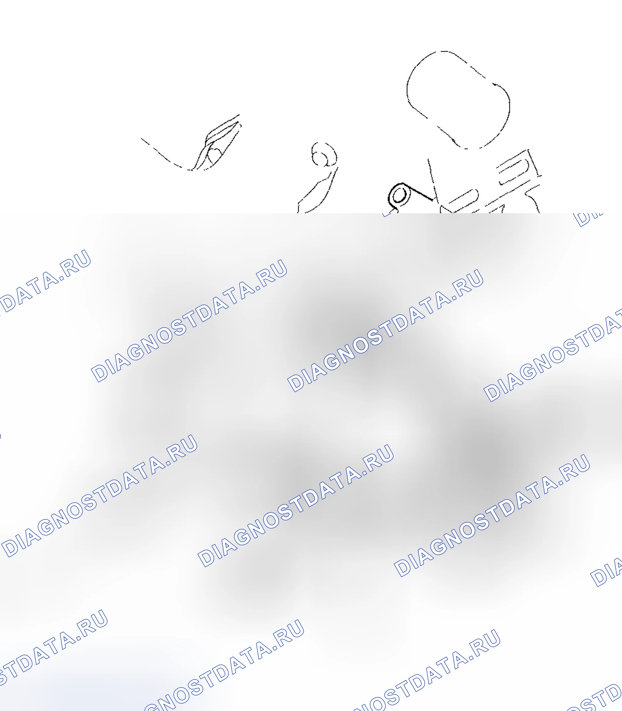 Рис. 174. Honda Element YH2