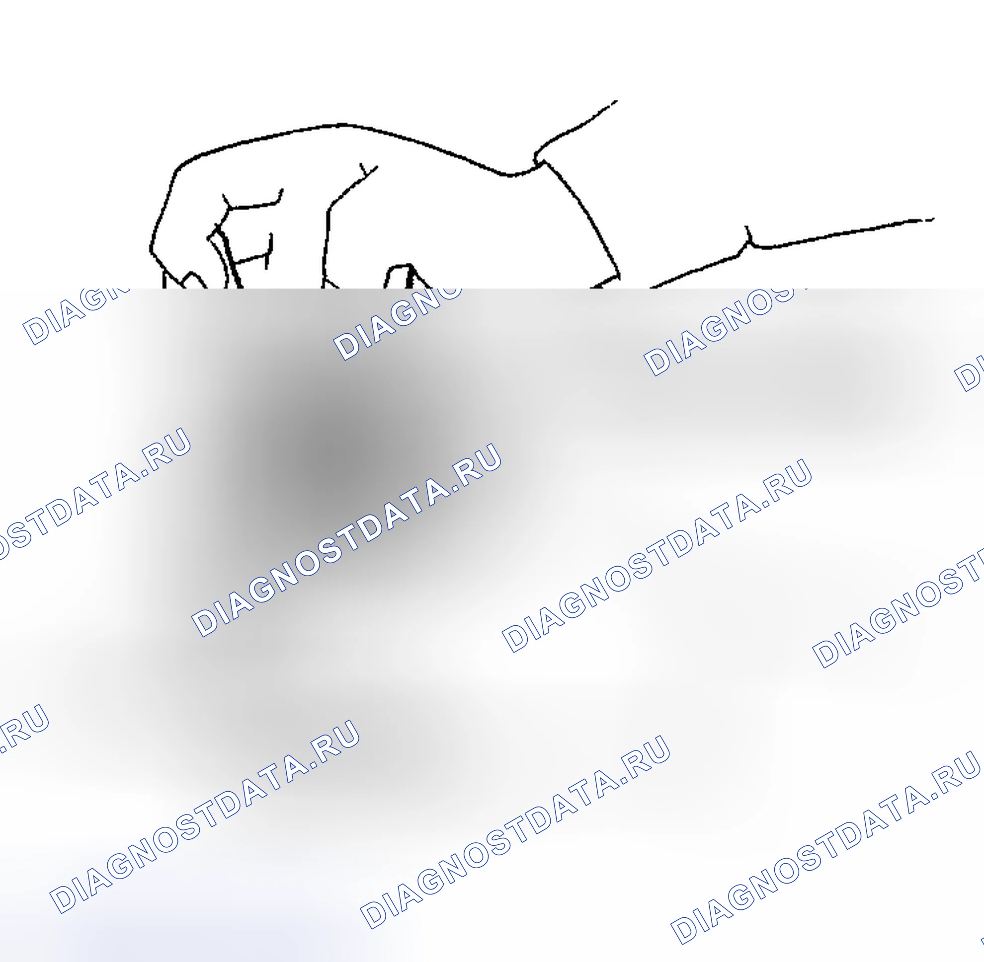 Рис. 146. Nissan 350Z I