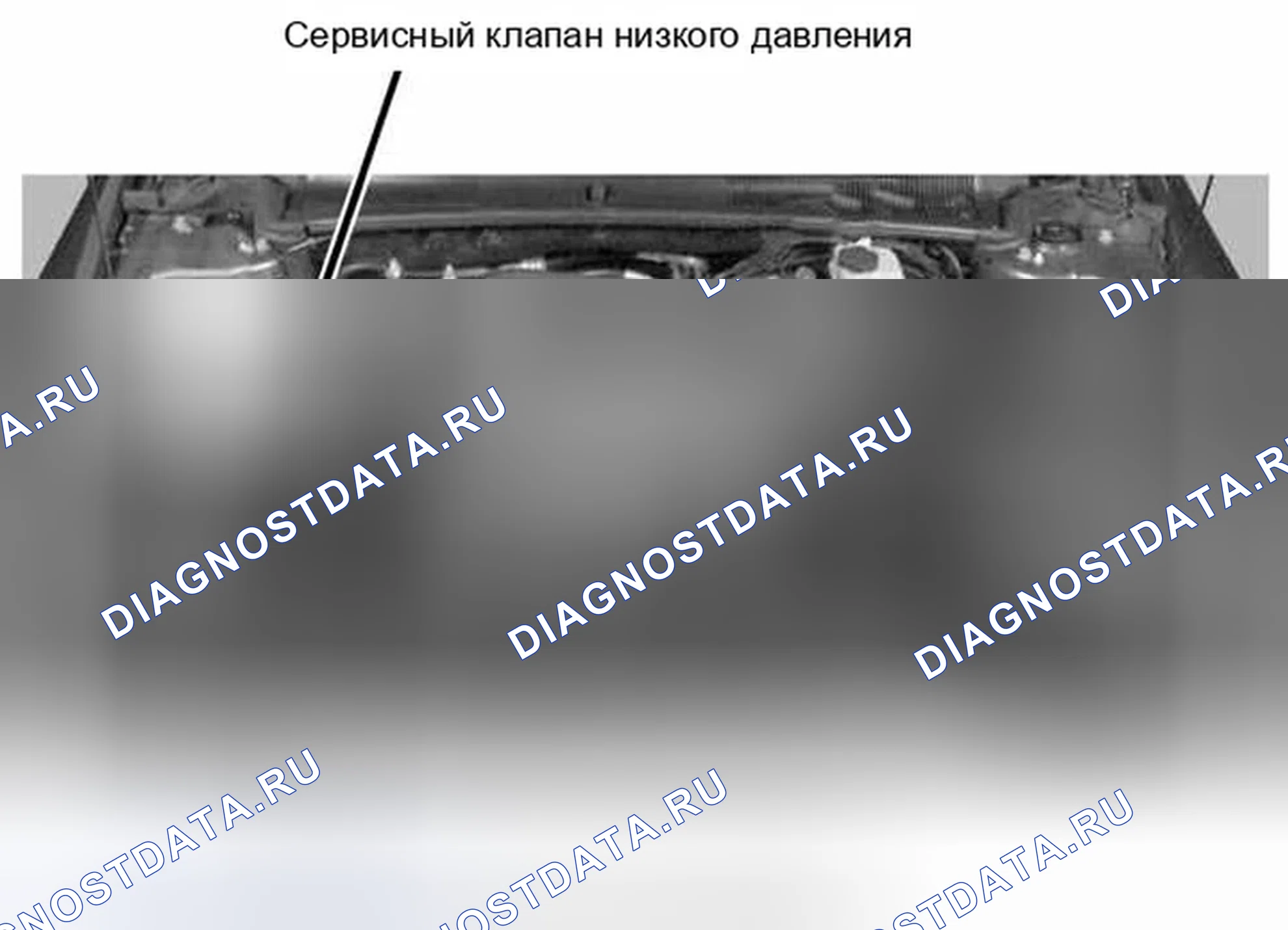 Рис. 18. Ford Escape I