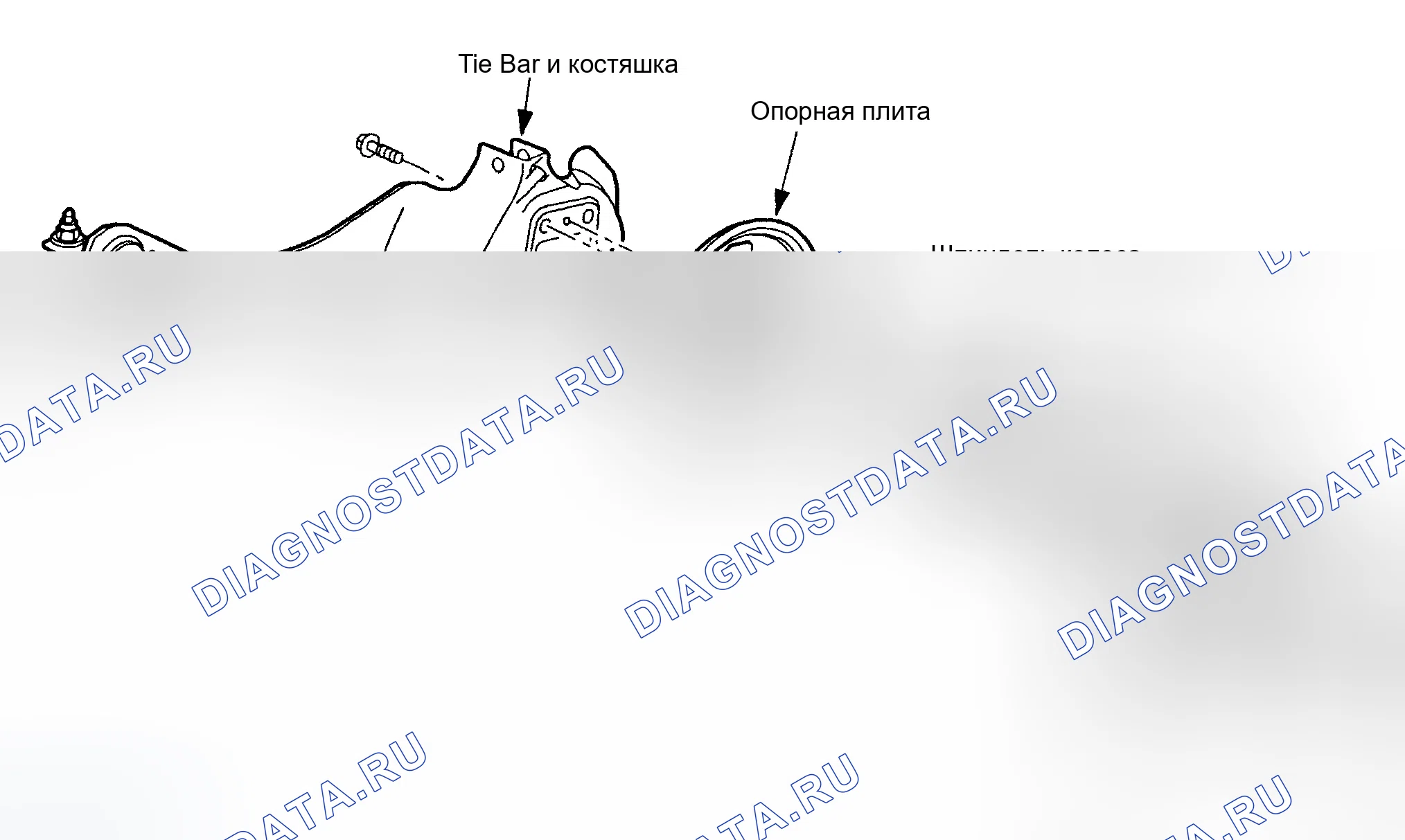 Рис. 2. Ford Focus I рестайлинг