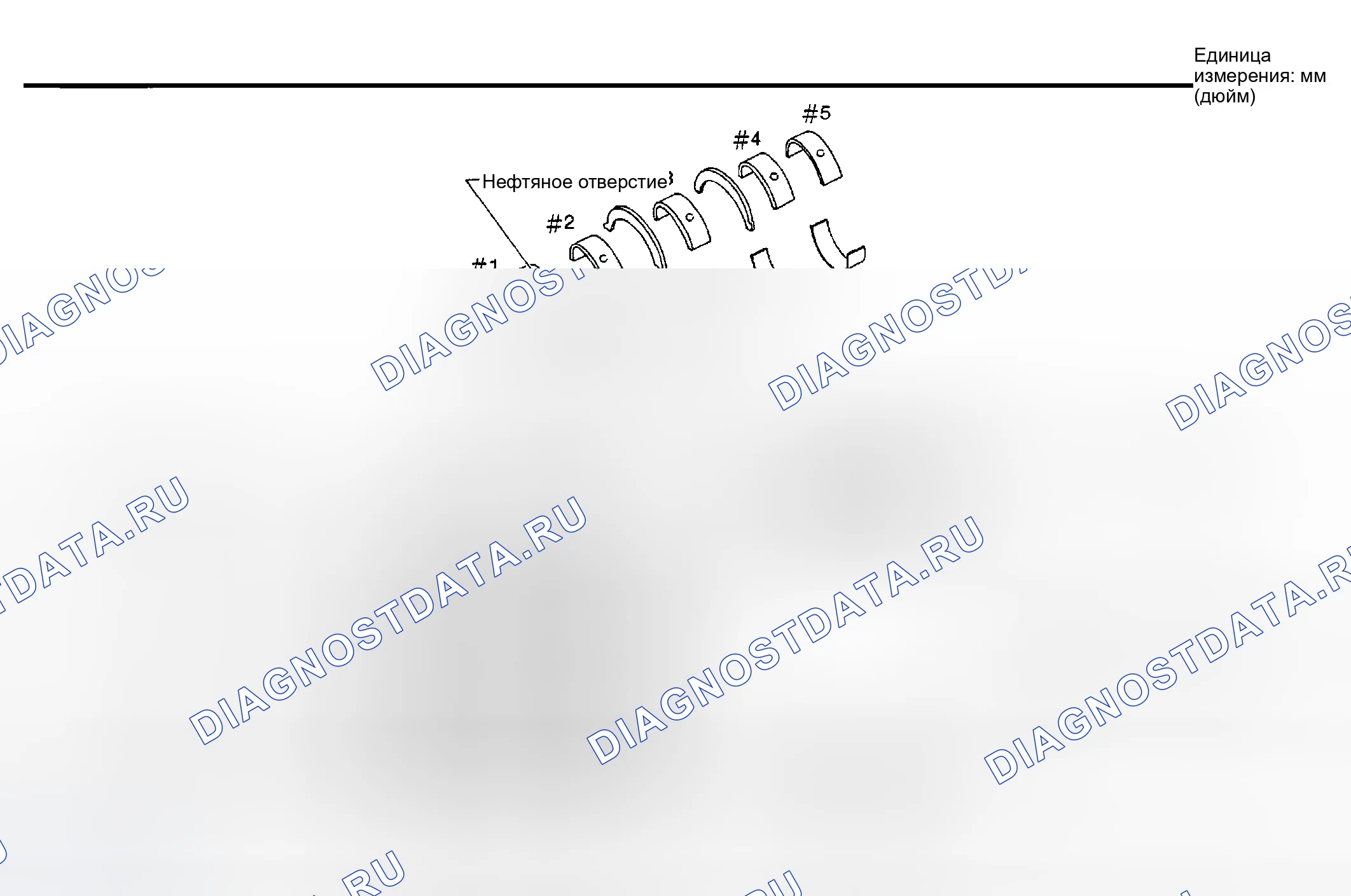 Рис. 21: ОСНОВНОЙ ПОДШИПНИК. Nissan Sentra B15