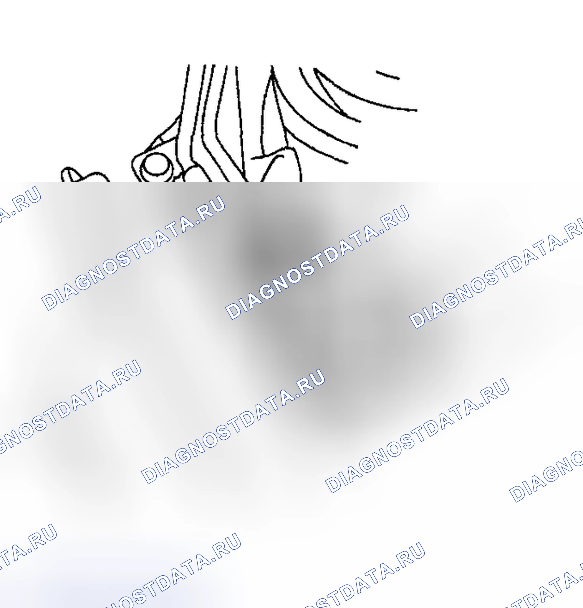 Рис. 11. Subaru Legacy BE/BH/BT