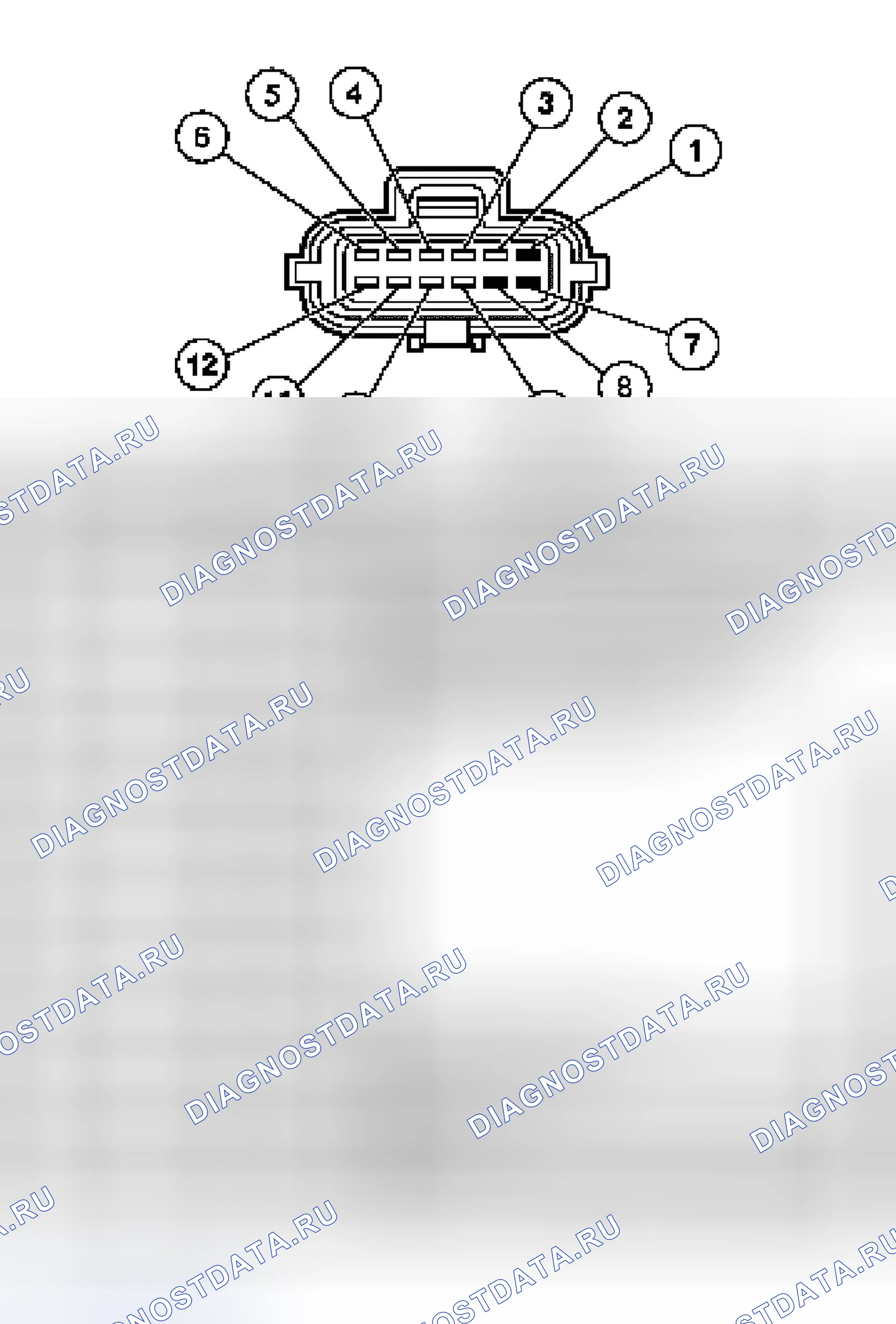 Рис. 171: Разъем датчика цифрового диапазона передачи (Tr). Ford Mustang IV рестайлинг