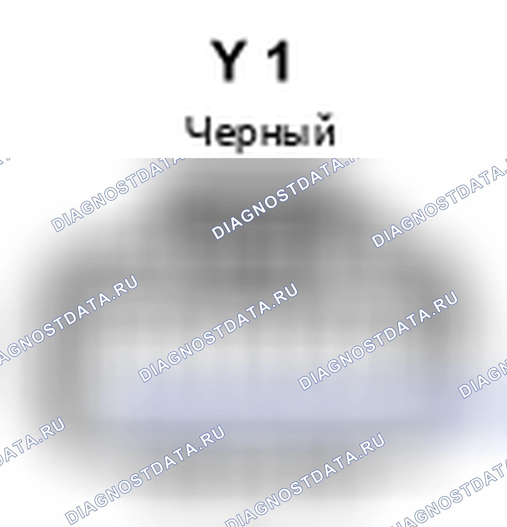 Рис. 862: Вид с торца разъема датчика угловой скорости рыскания (Y 1). Toyota Prius II рестайлинг