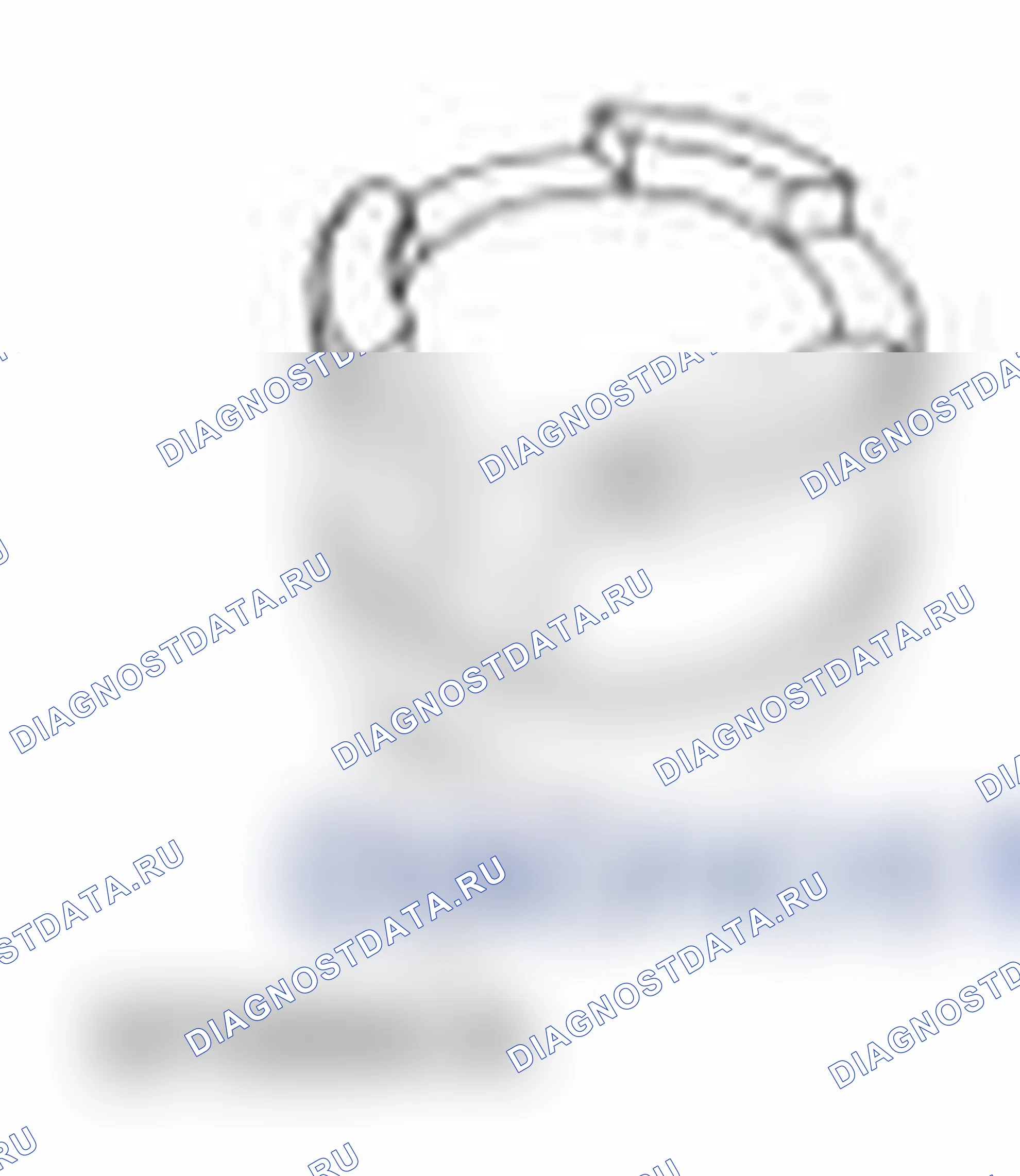 Рис. 298. Ford Transit Connect I рестайлинг
