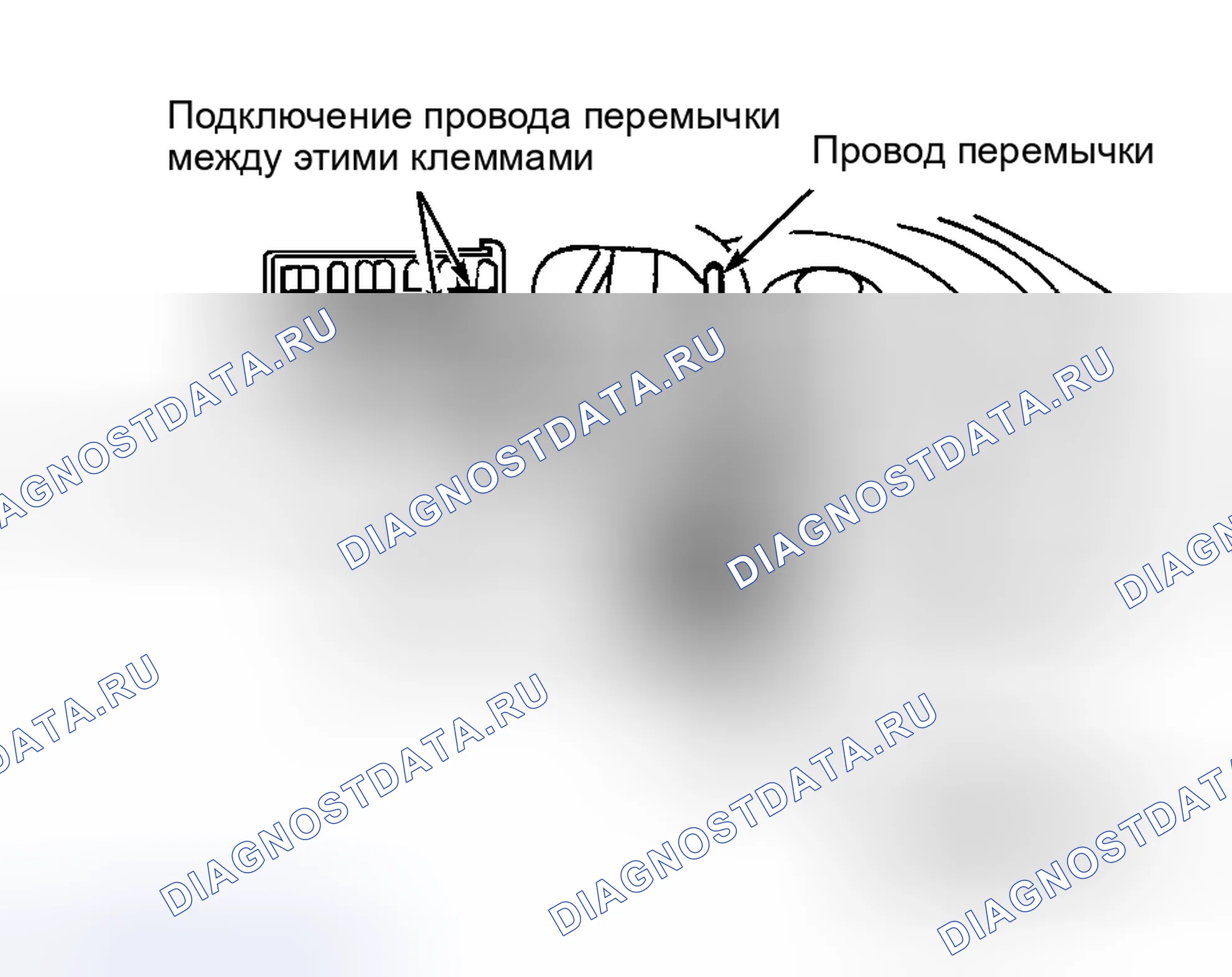 Рис. 226: Венчик. Toyota Prius I рестайлинг