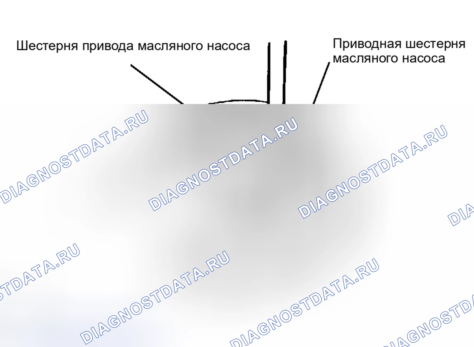 Рис. 368. Toyota Avalon XX30