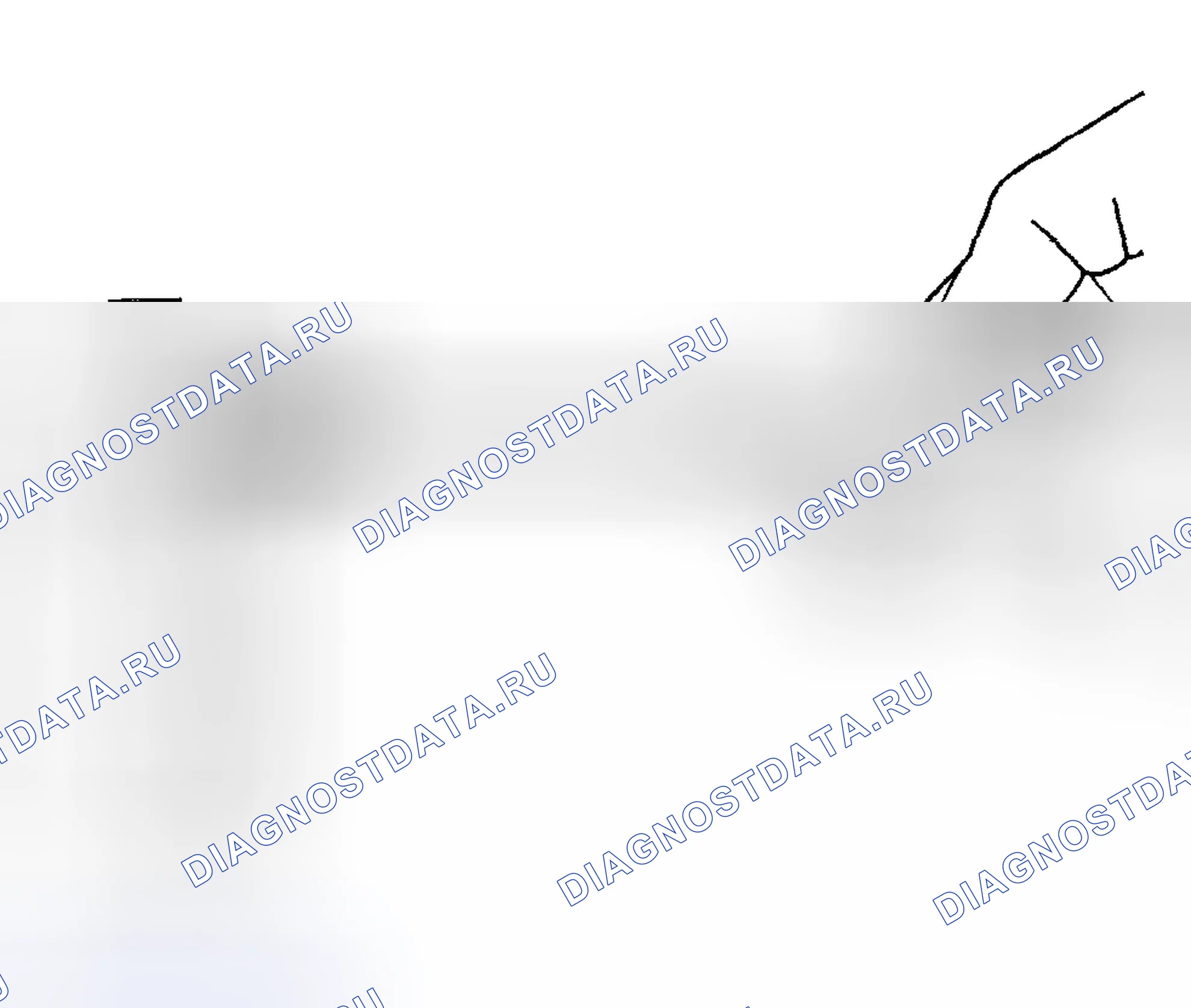 Рис. 1102. Hyundai Terracan I