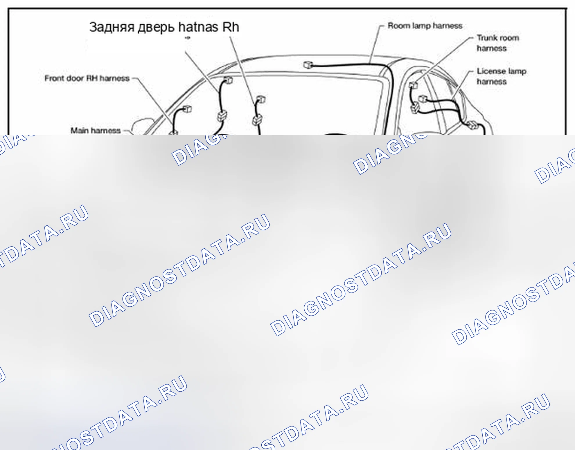 Рис. 2: КОНТУР. Audi RS6 C8