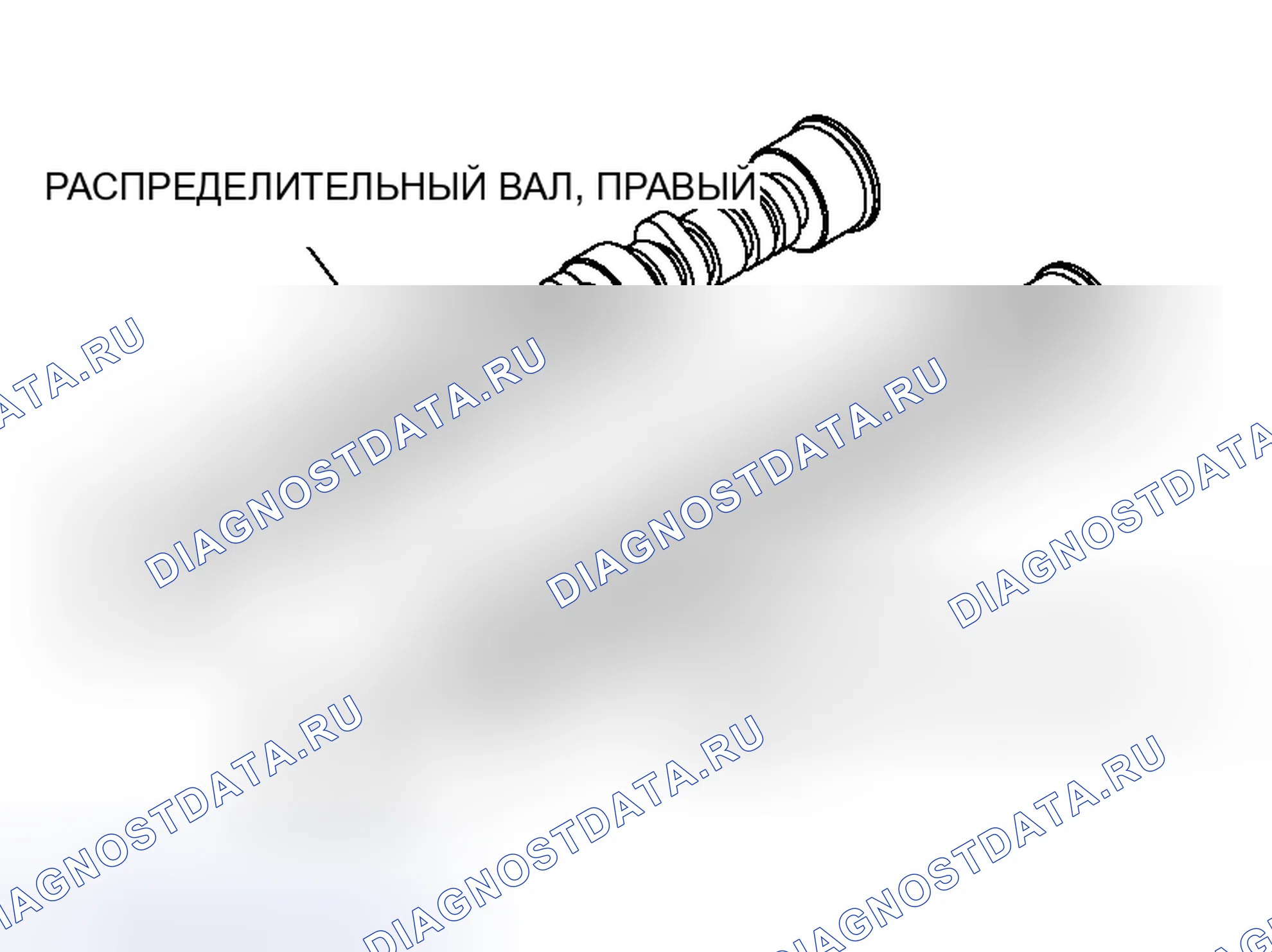 Рис. 505. Honda Freed+ I
