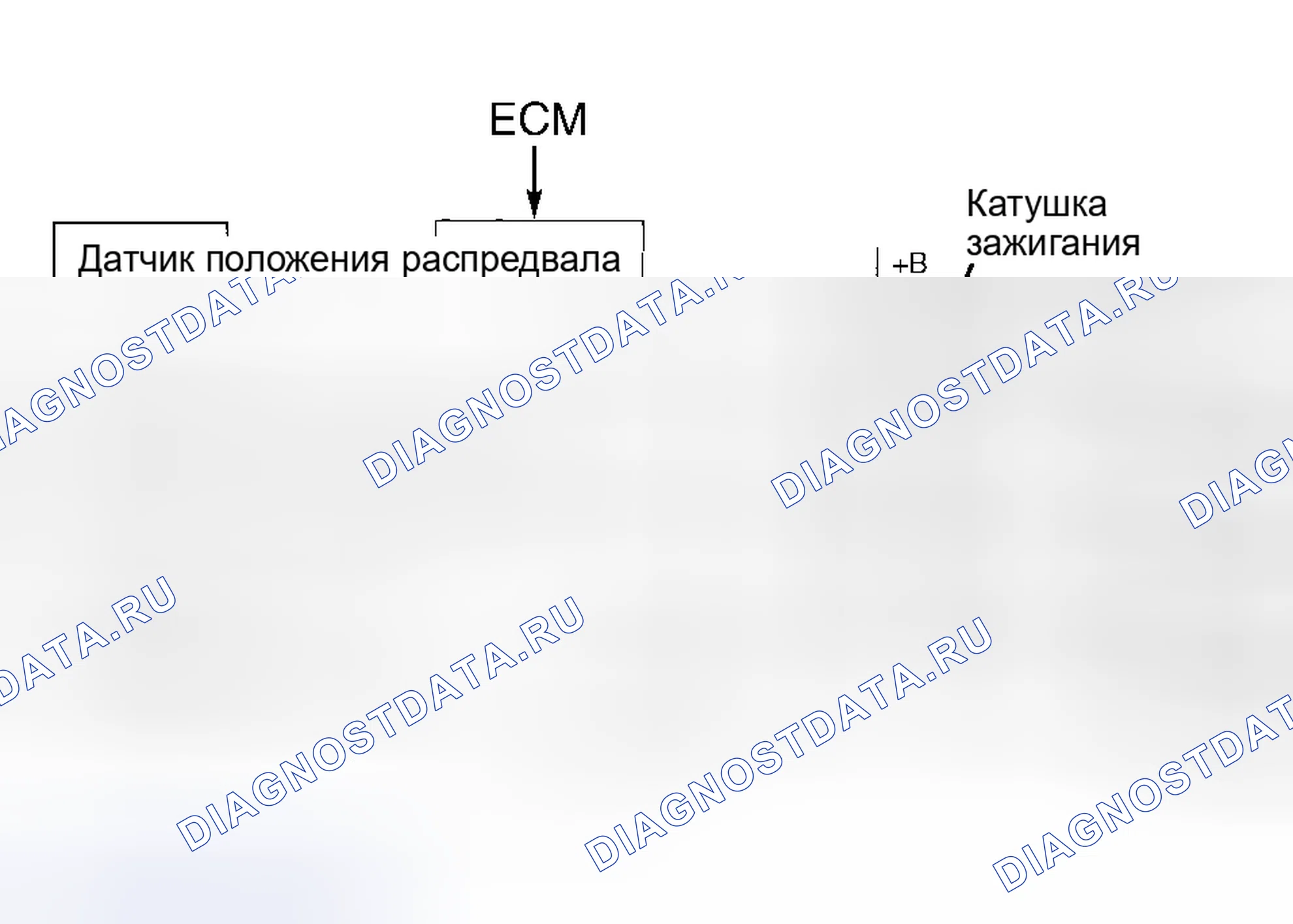 Рис. 26: Camry 2.4L 4-Cyl., Camry Solara 2.4L 4-Cyl., Celica, Corolla, ECHO, Highlander 2.4L 4-Cyl., Matrix,. Toyota Camry XV30