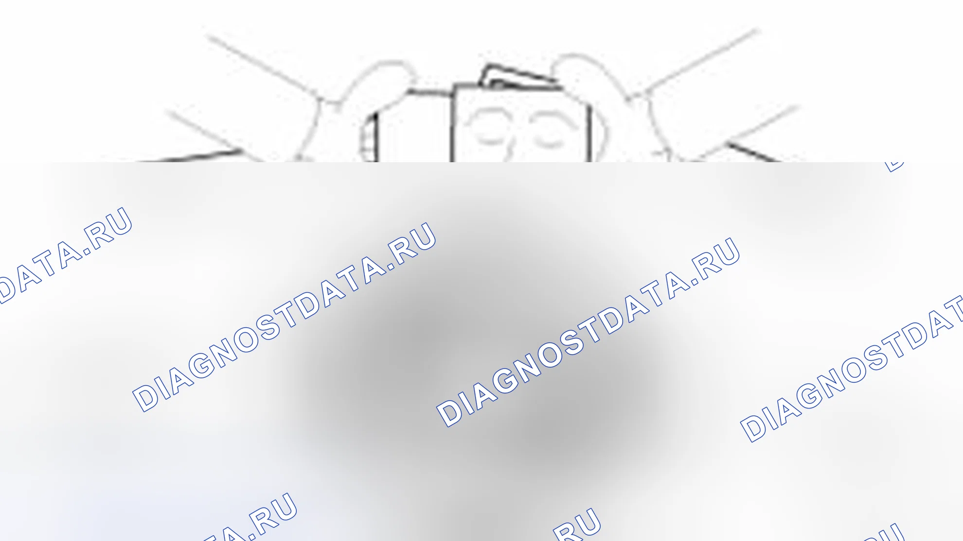 Рис. 42. Haval Beast (Shenshou) I