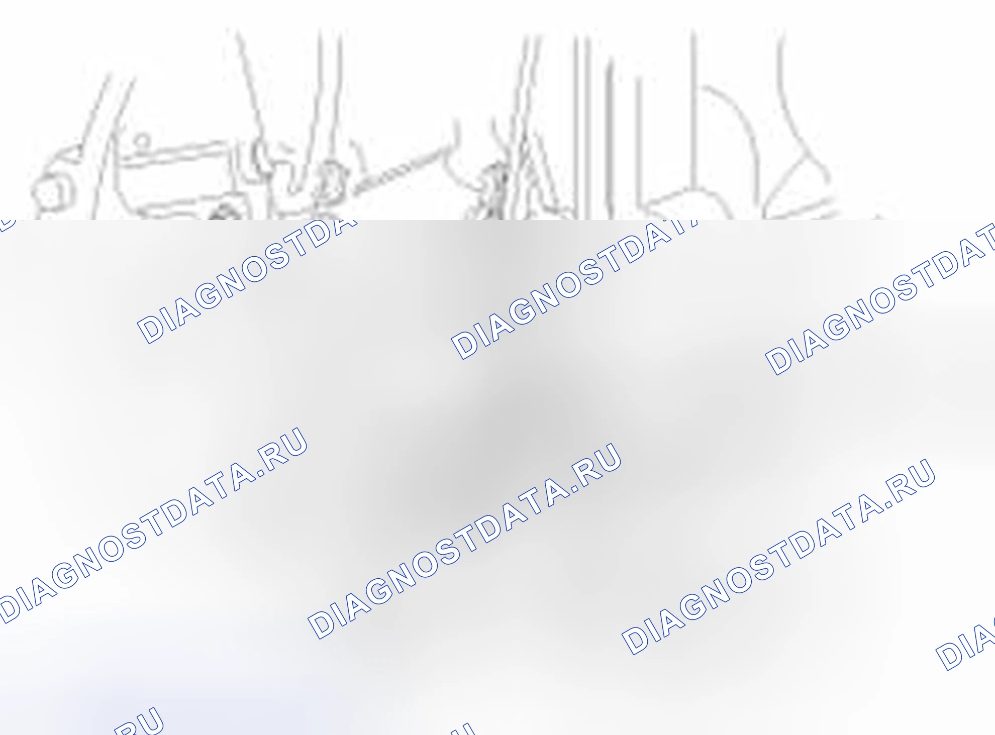 Рис. 100. Haval Beast (Shenshou) I