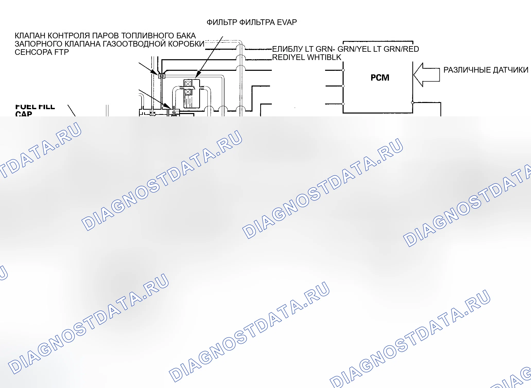 Рис. 42: Схема регулирования выбросов в результате испарения (EVAP). Honda Ridgeline I