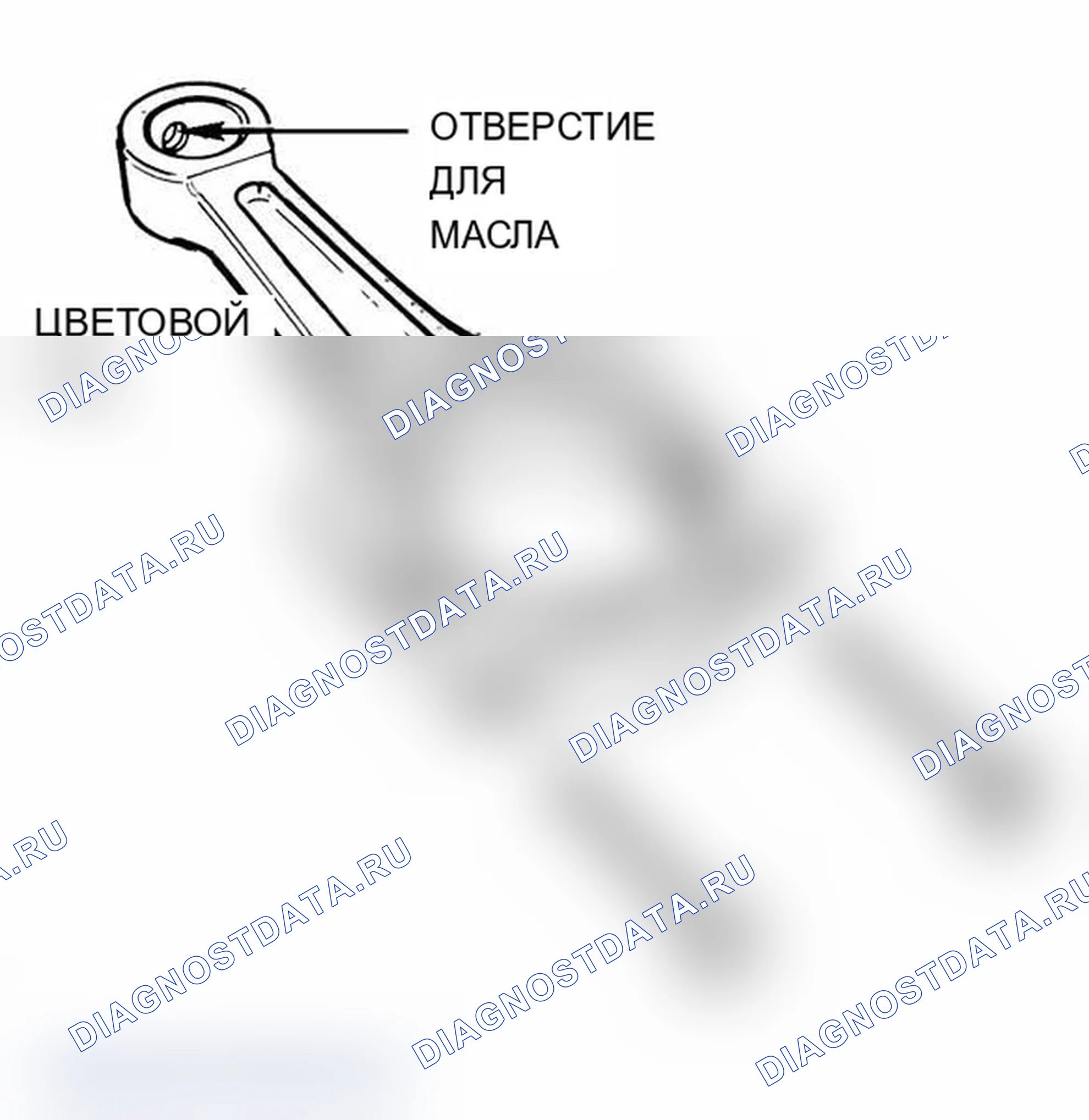 Рис. 468. BMW M3 E46