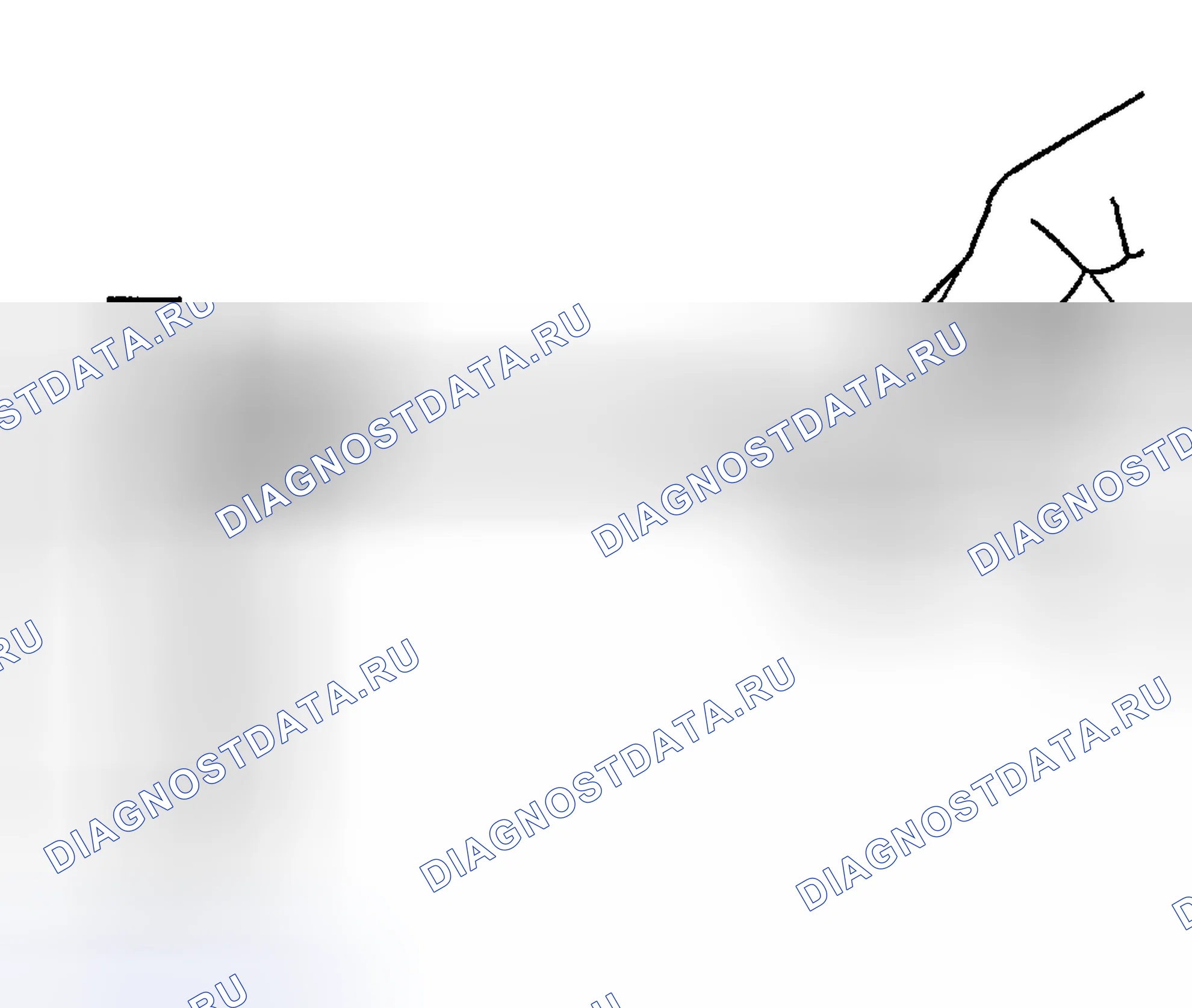 Рис. 1297. Hyundai Terracan I
