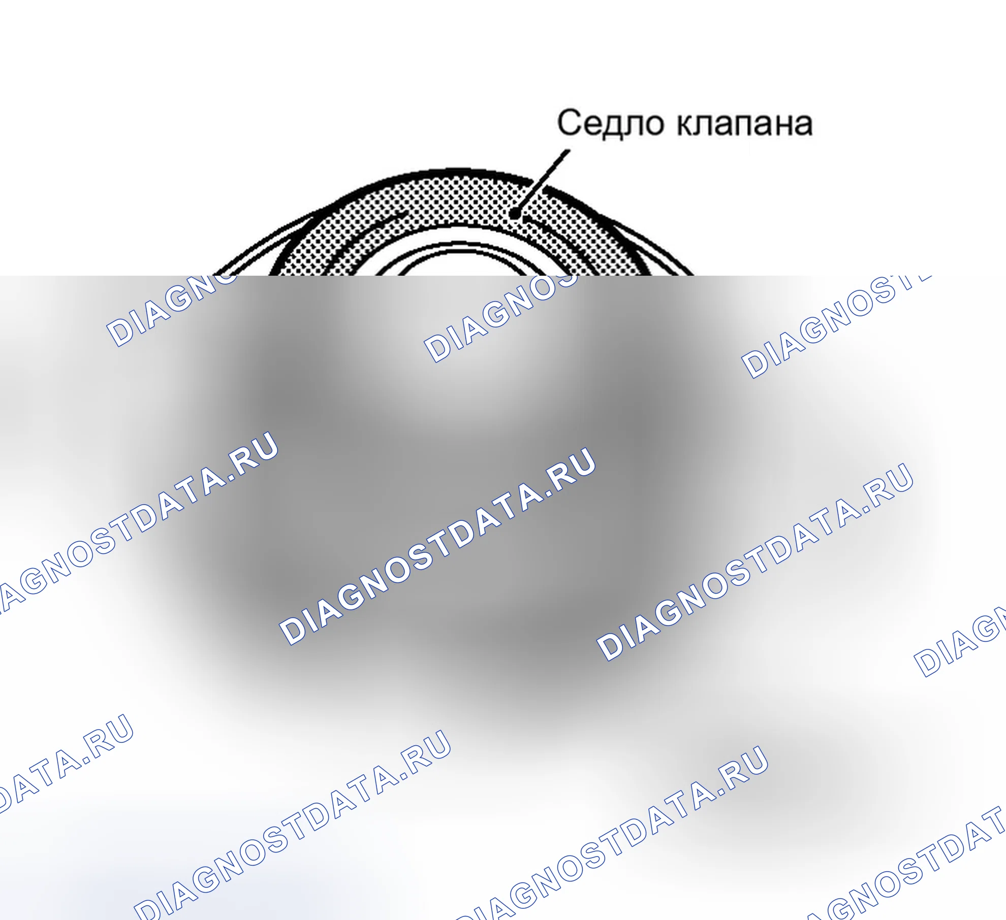 Рис. 3: Проверка крышки радиатора. Infiniti M45 III