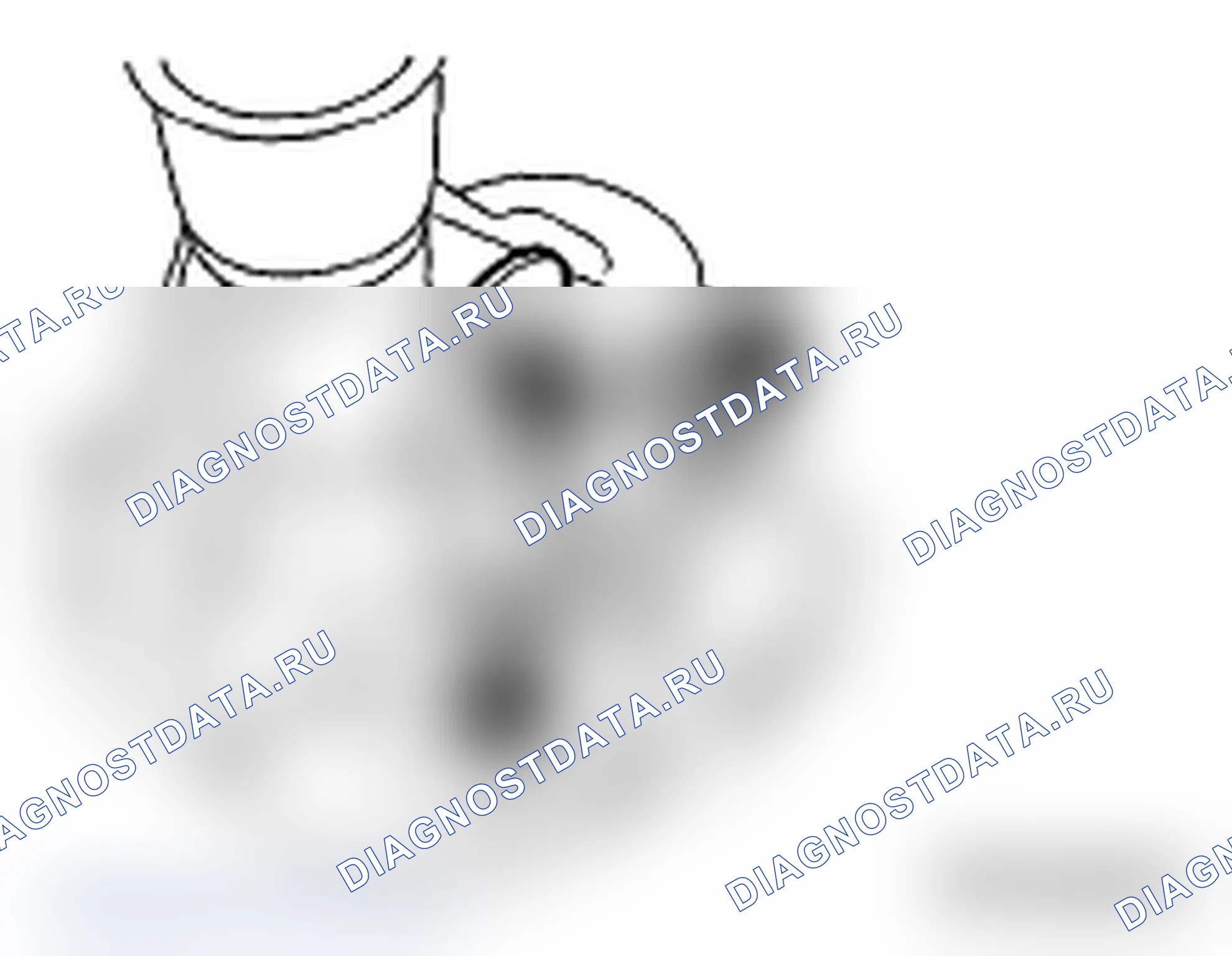 Рис. 223. Subaru Impreza WRX STI GD рестайлинг 2