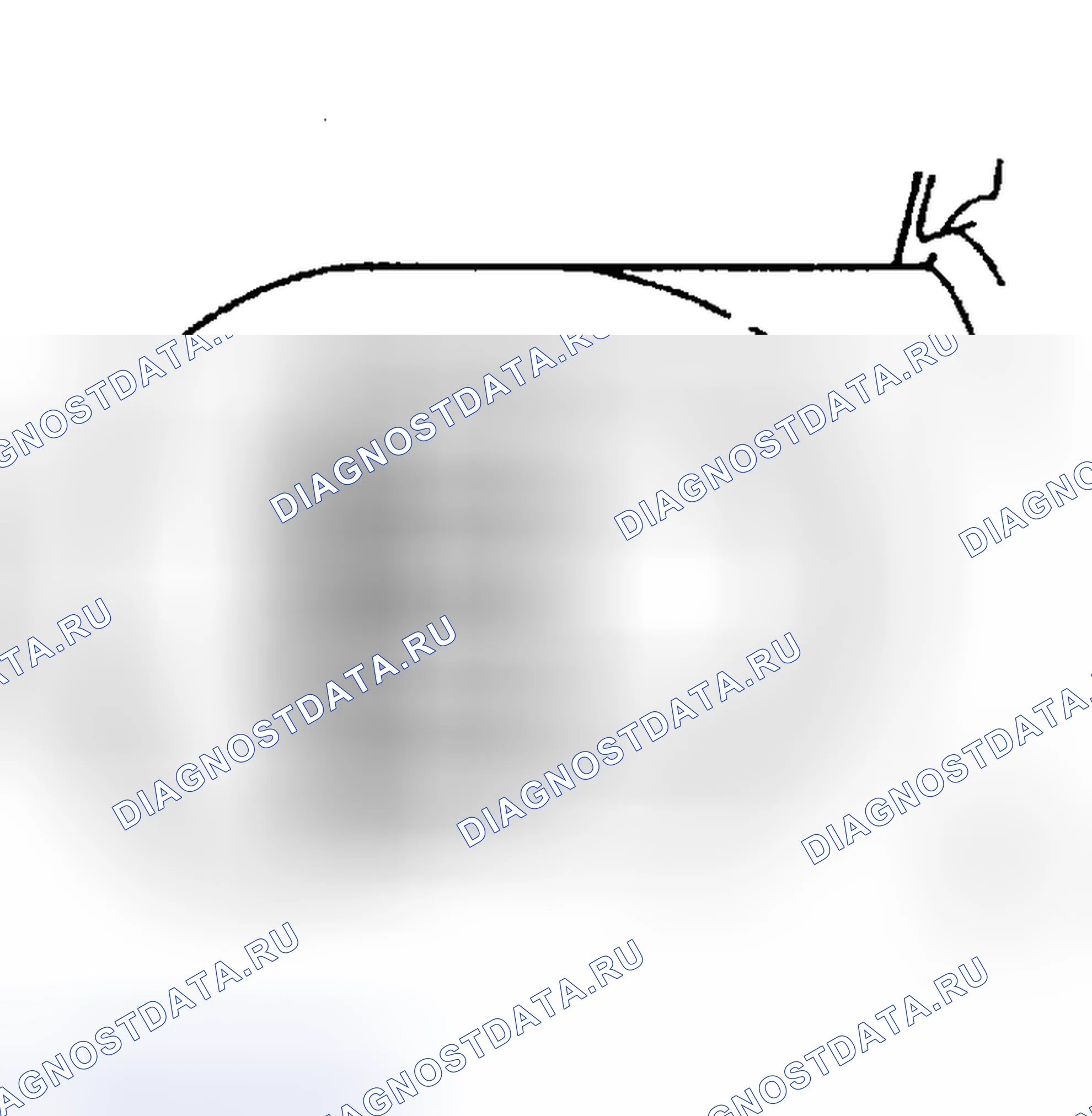 Рис. 4. Mazda RX-8 I