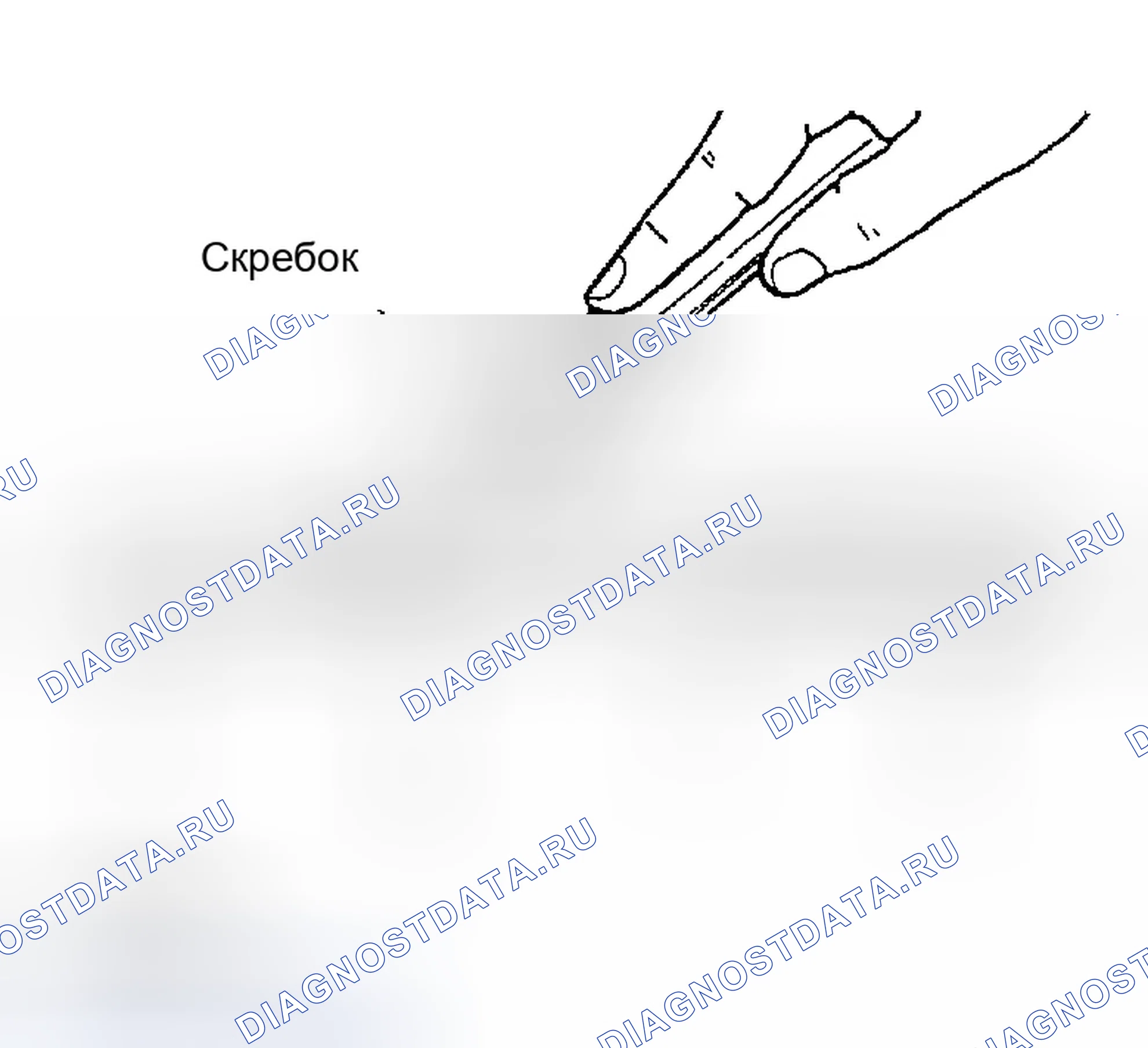 Рис. 28: Процедура применения жидкостной прокладки. Infiniti FX35 I
