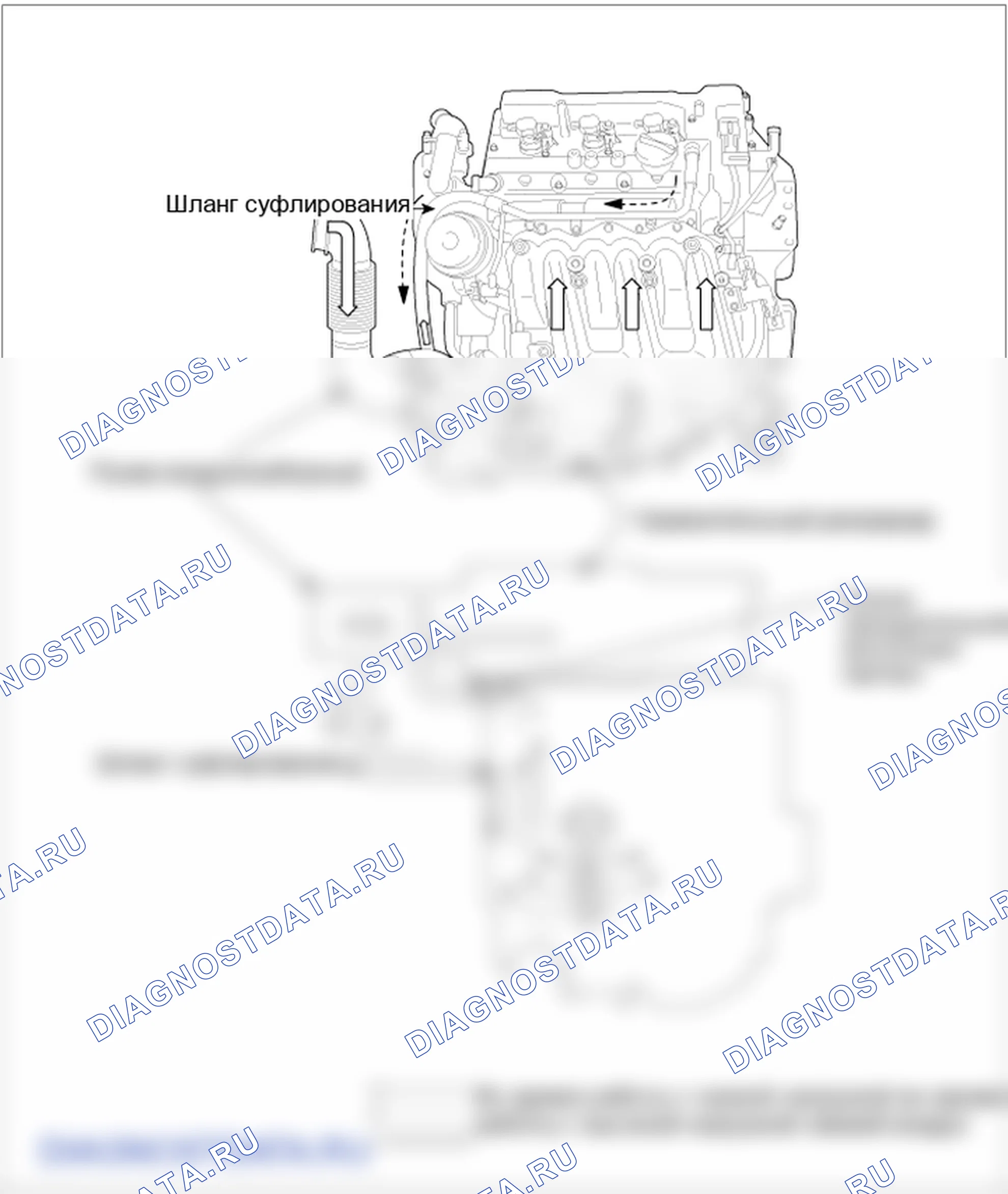Компоненты и их расположение. Kia Sorento BL