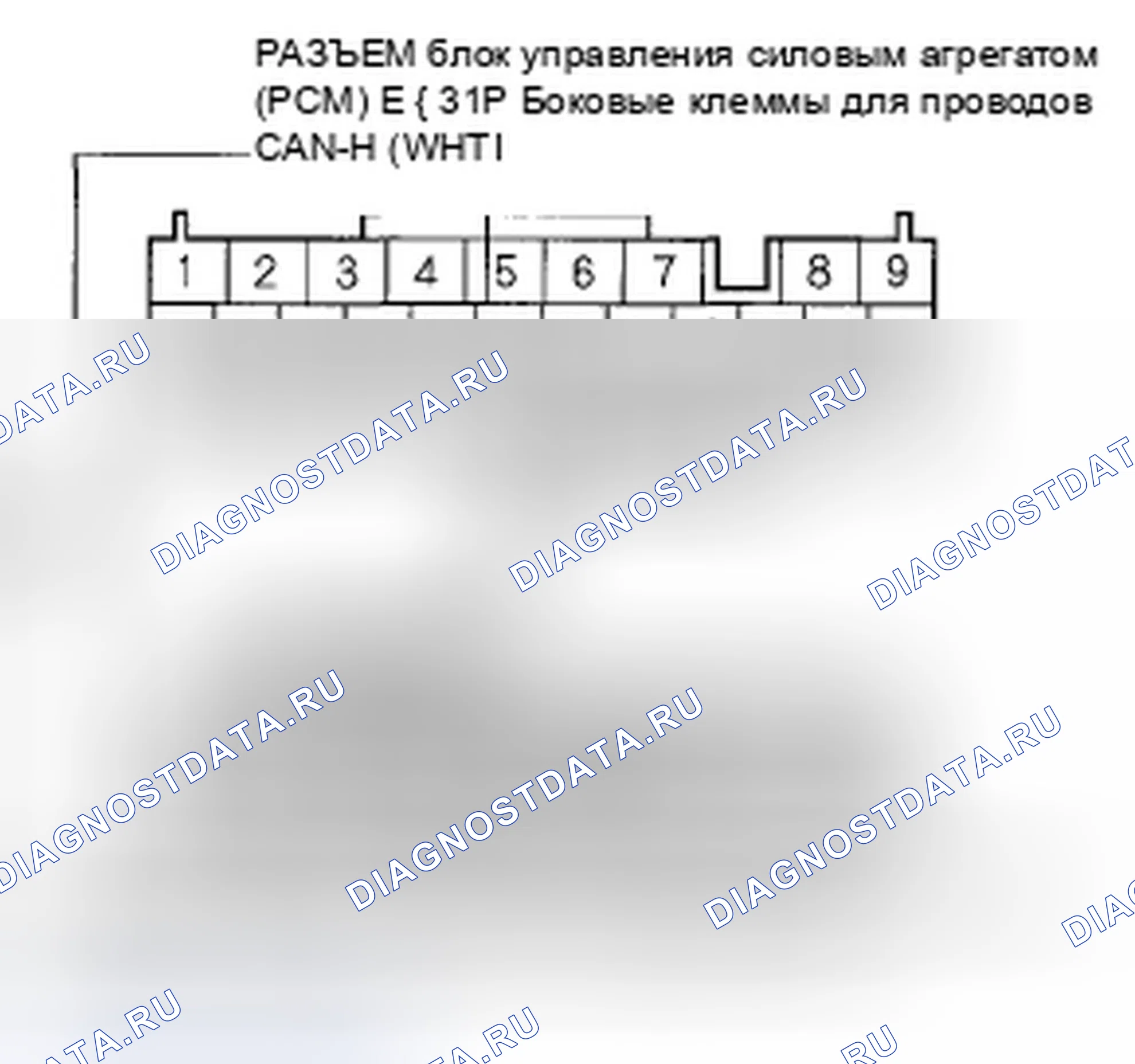 Рис. 159. Honda Accord VII рестайлинг