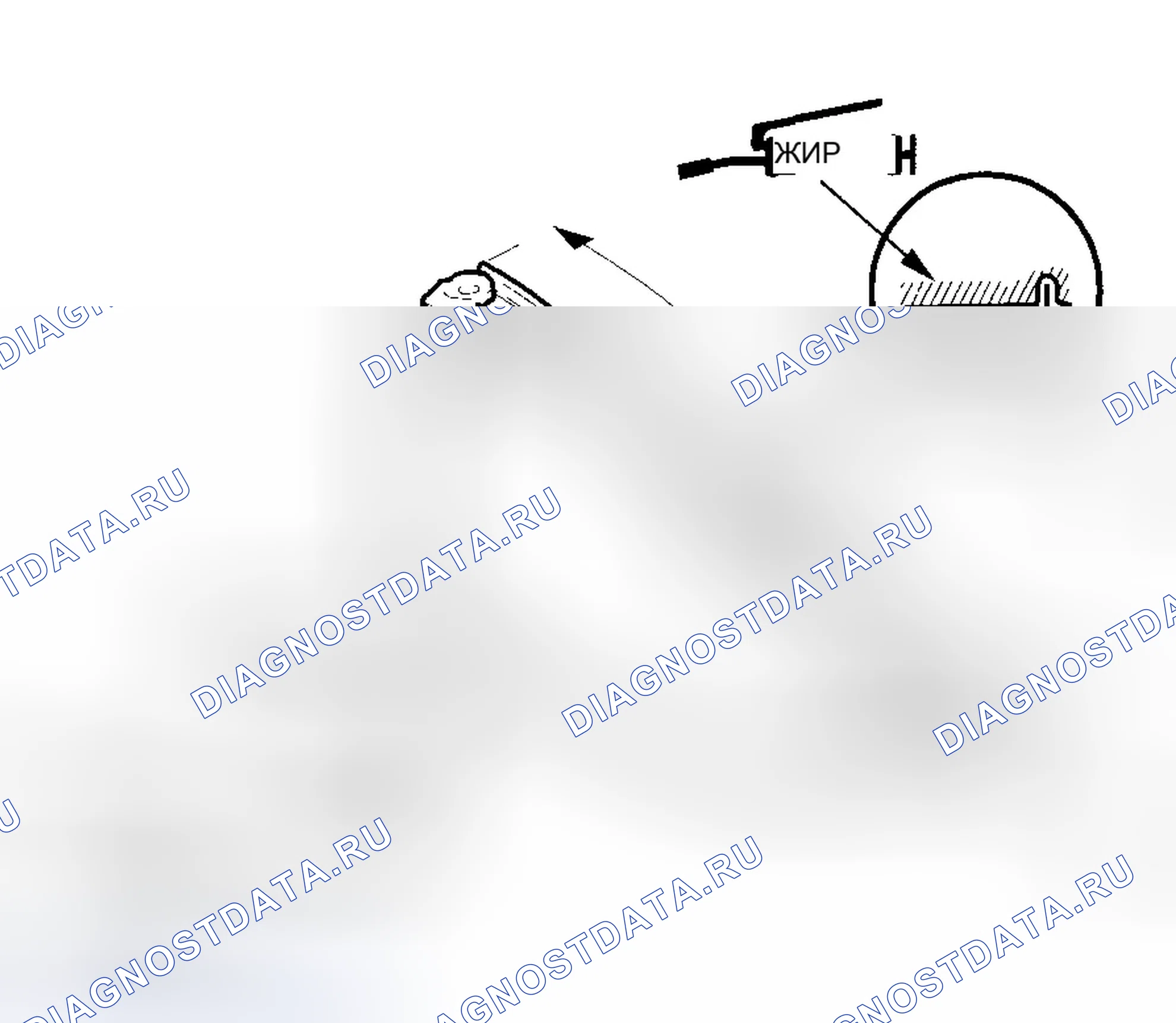 Рис. 31. Honda Element YH2