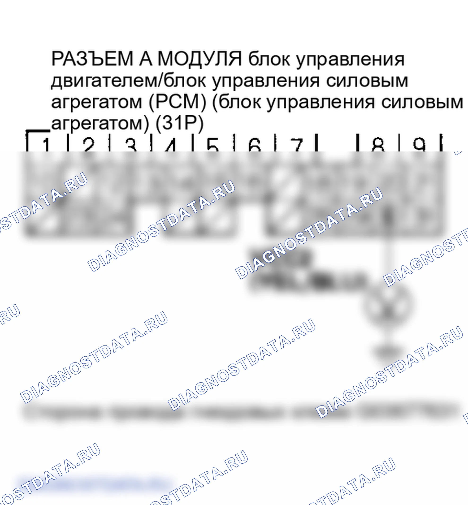 Рис. 34. Honda Element YH2