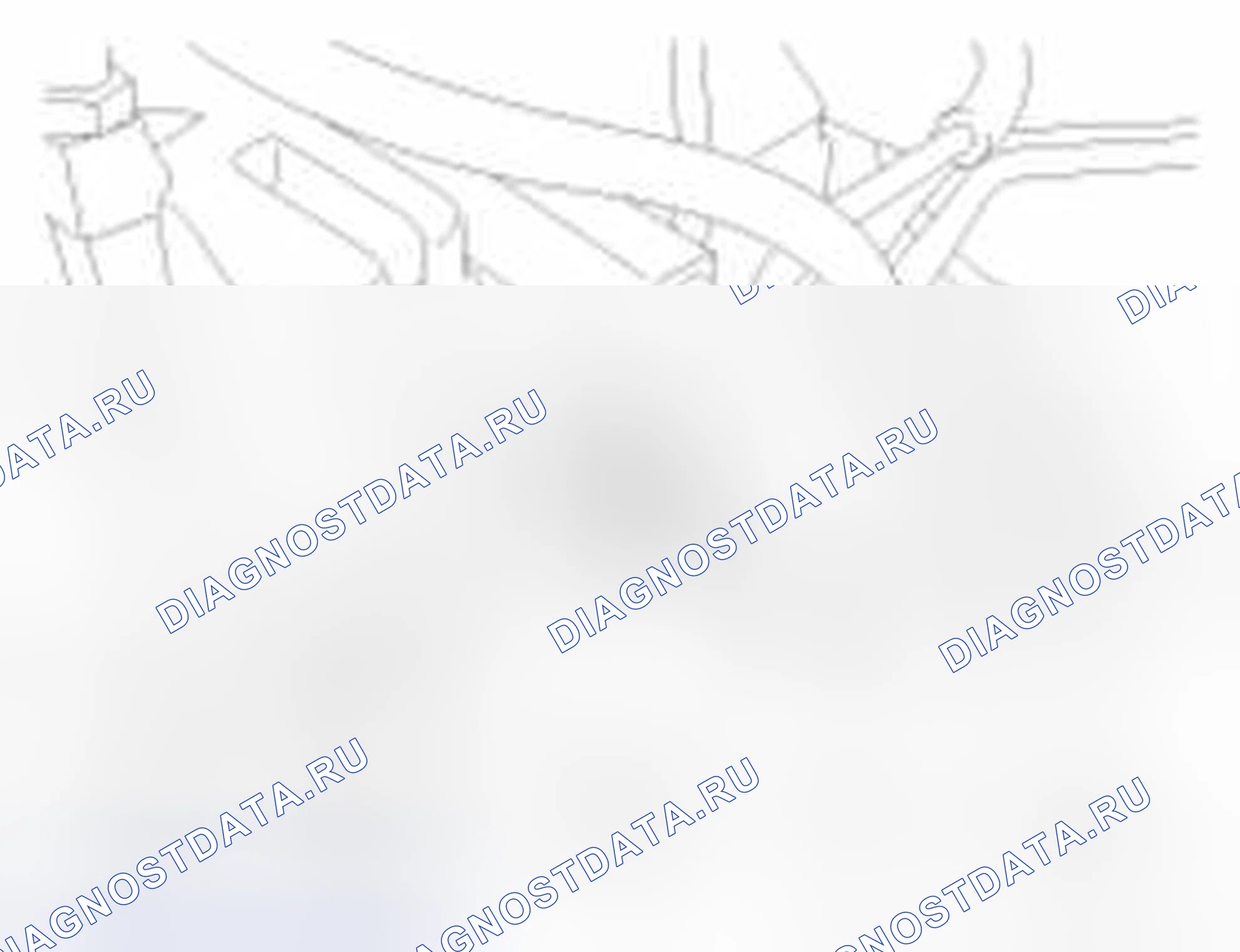 Рис. 65. Haval Beast (Shenshou) I