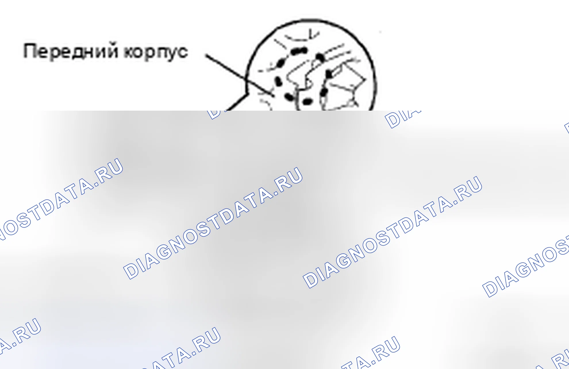 Рис. 32. Kia Sorento I рестайлинг