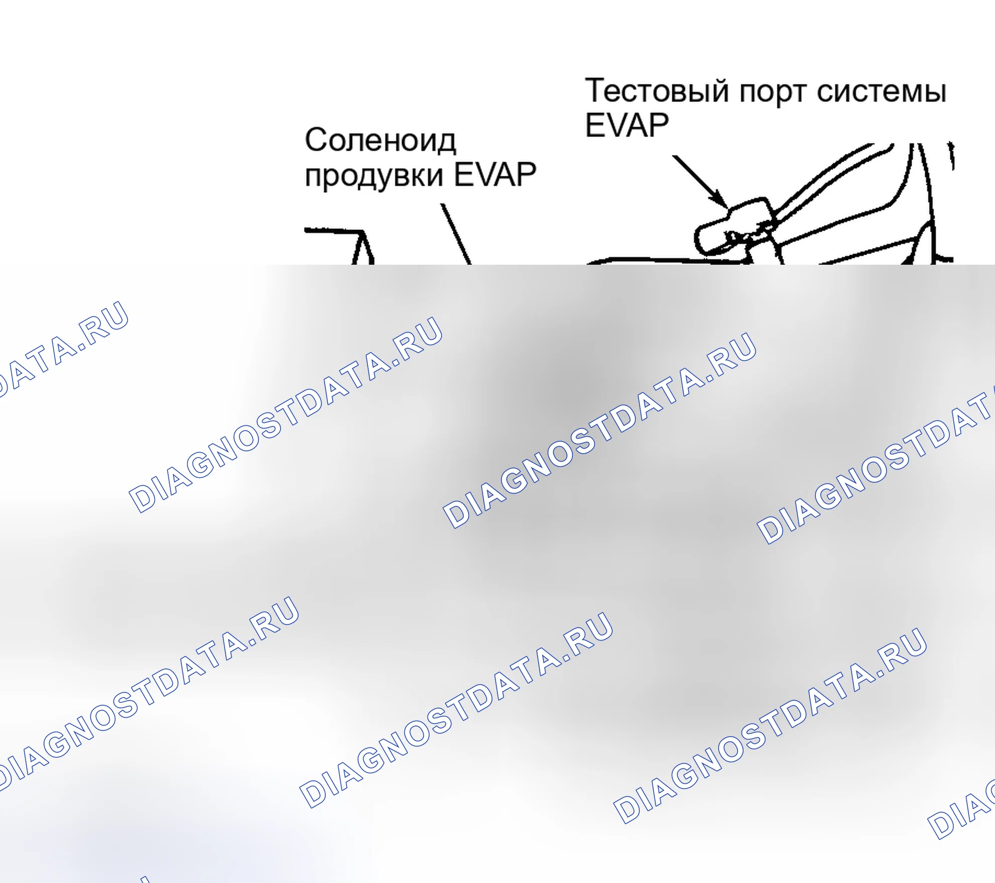 Рис. 30: ТЕСТ Tc-18A - ЦЕПЬ СОЛЕНОИДА ПРОДУВКИ EVAP. Hyundai Veloster I