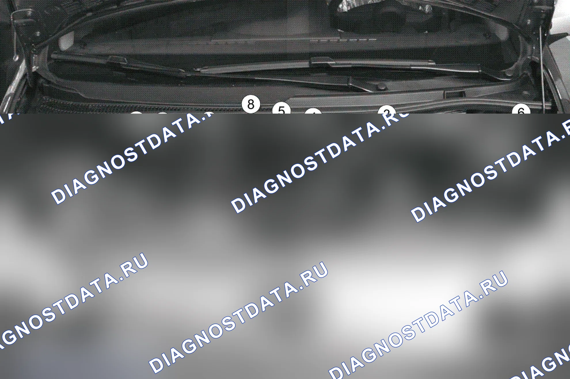 Система впрыска топлива в сборе: перечень и расположение э — двигатель D4F/782/780 (1.2 бензин). Renault Modus I