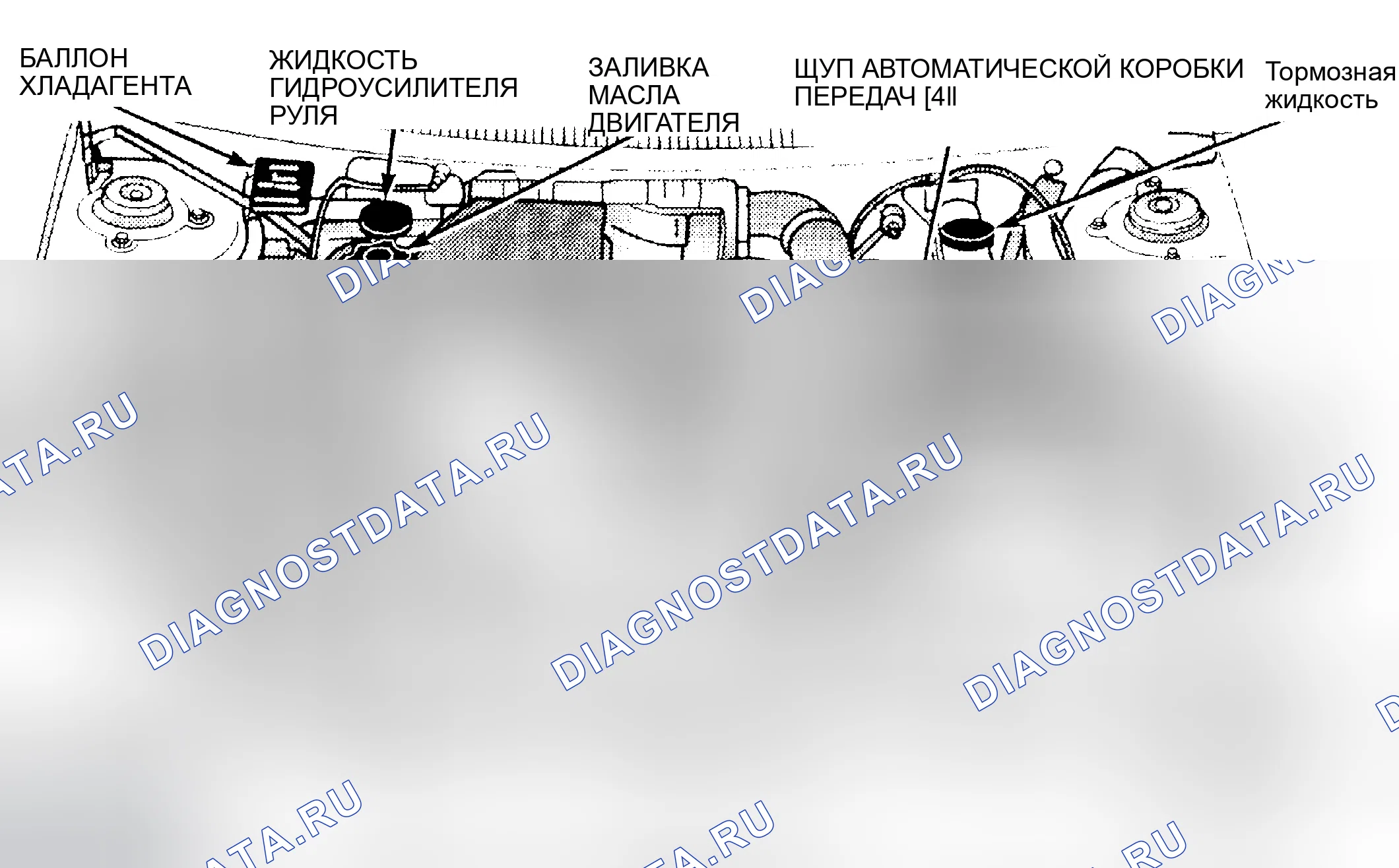 Рис. 4. Dodge Neon I