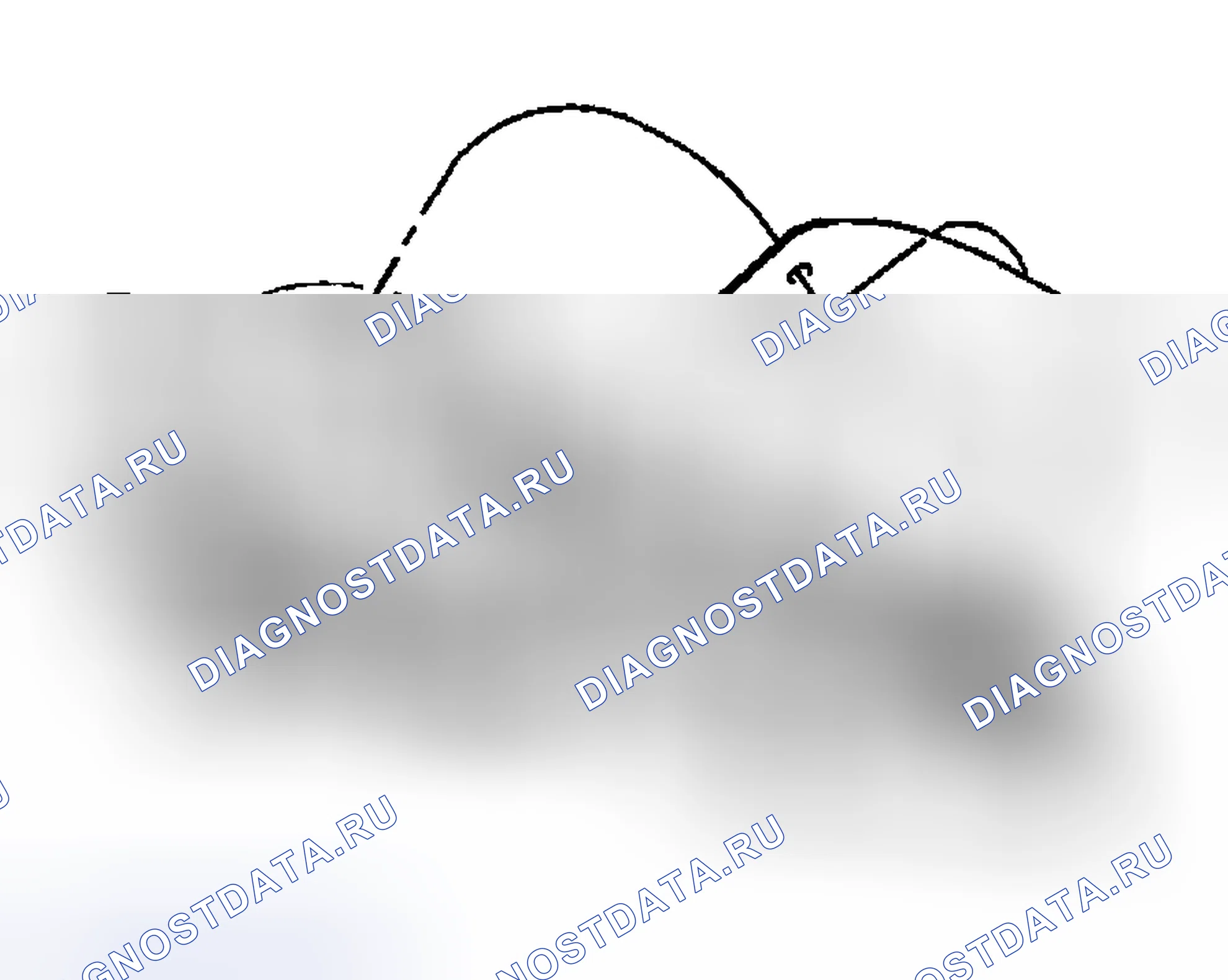 Рис. 49. Hyundai Terracan I