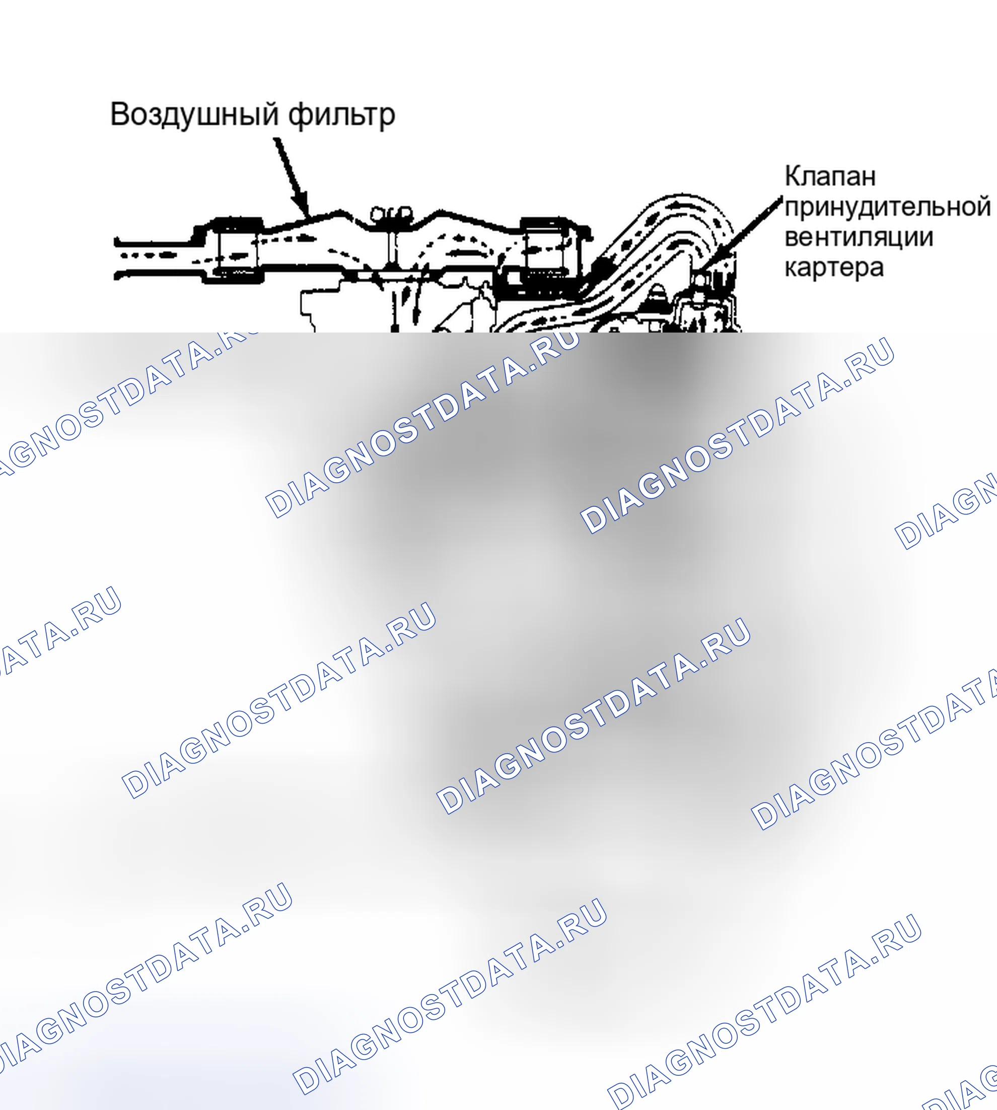 Рис. 5: Система вентиляции картера (Tercel и Corolla). Toyota Camry V10