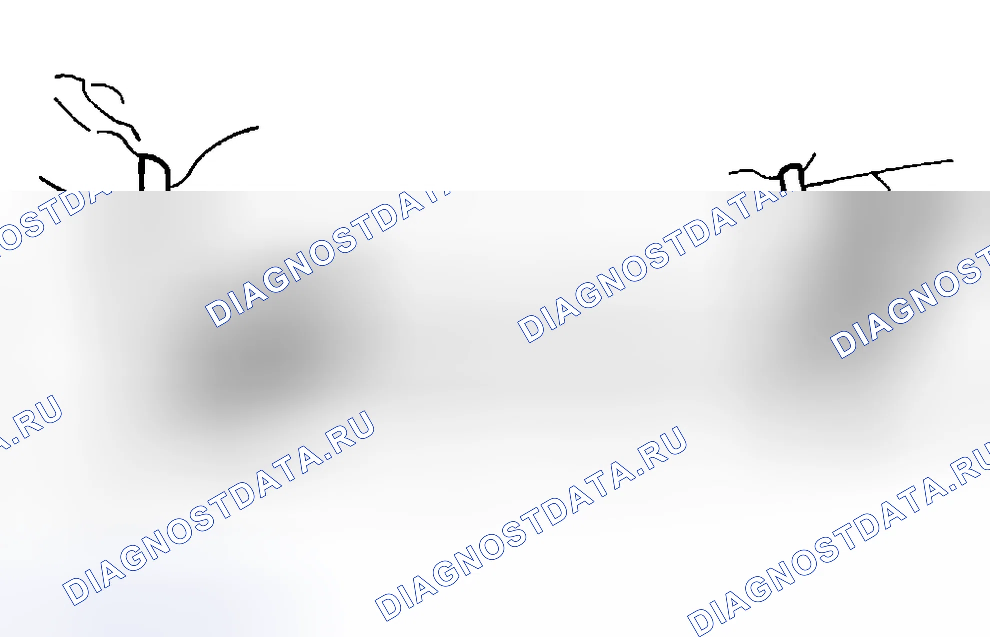 Рис. 346: Разборка и сборка. Mazda Tribute I